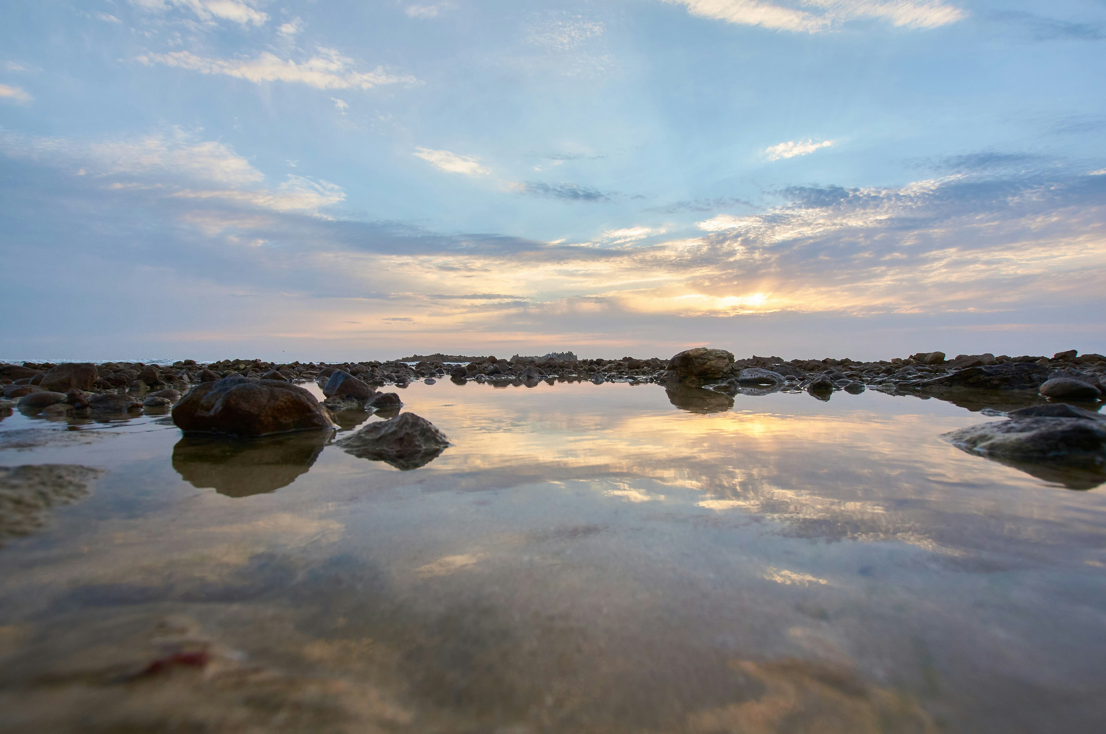 Photo by wolfgang_hasselmann