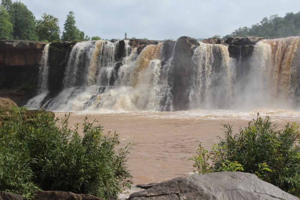 waterfalls near green trees during daytime