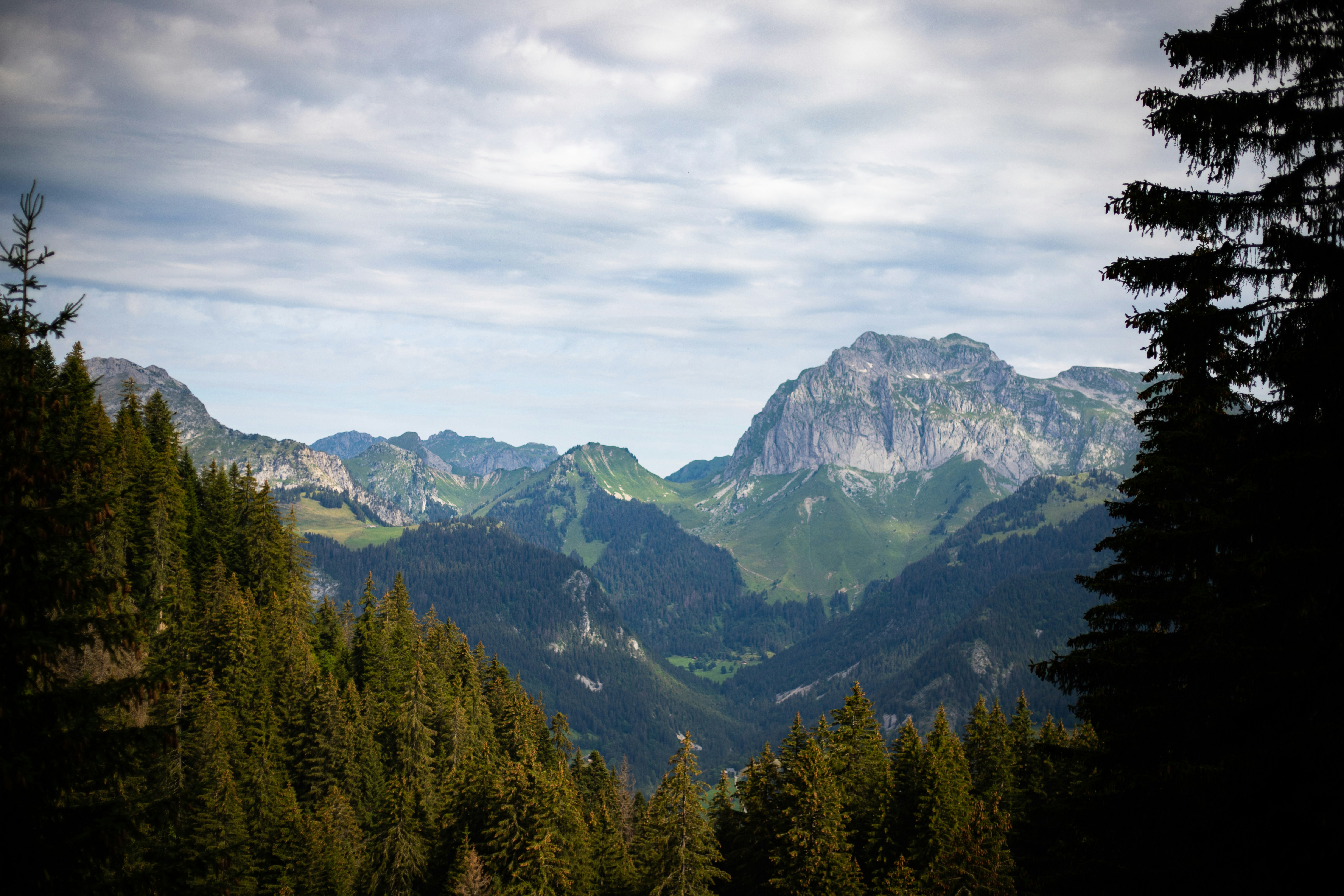 green trees on mountain under white clouds during daytime