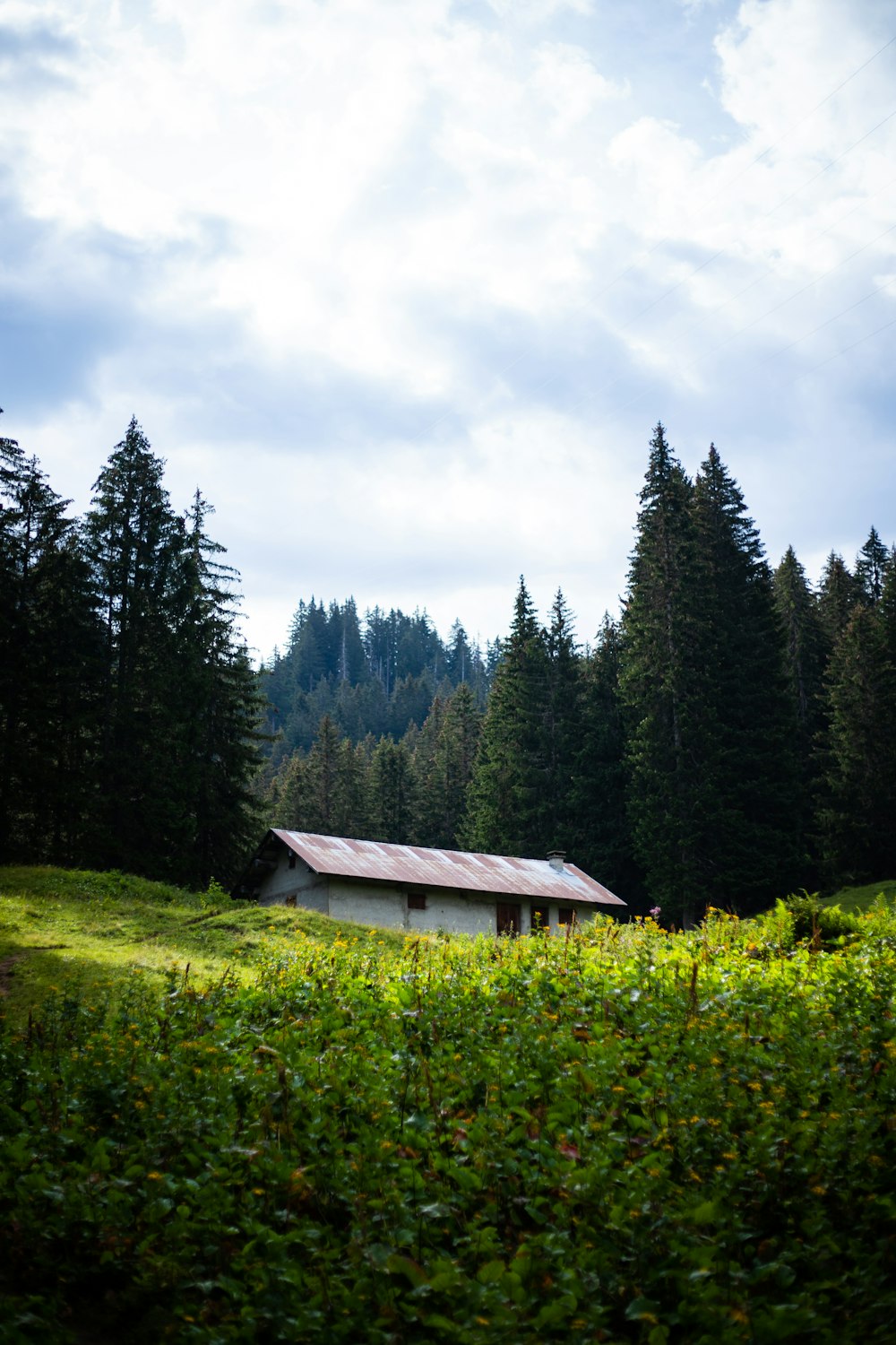 brown wooden house surrounded by green trees under white clouds during daytime