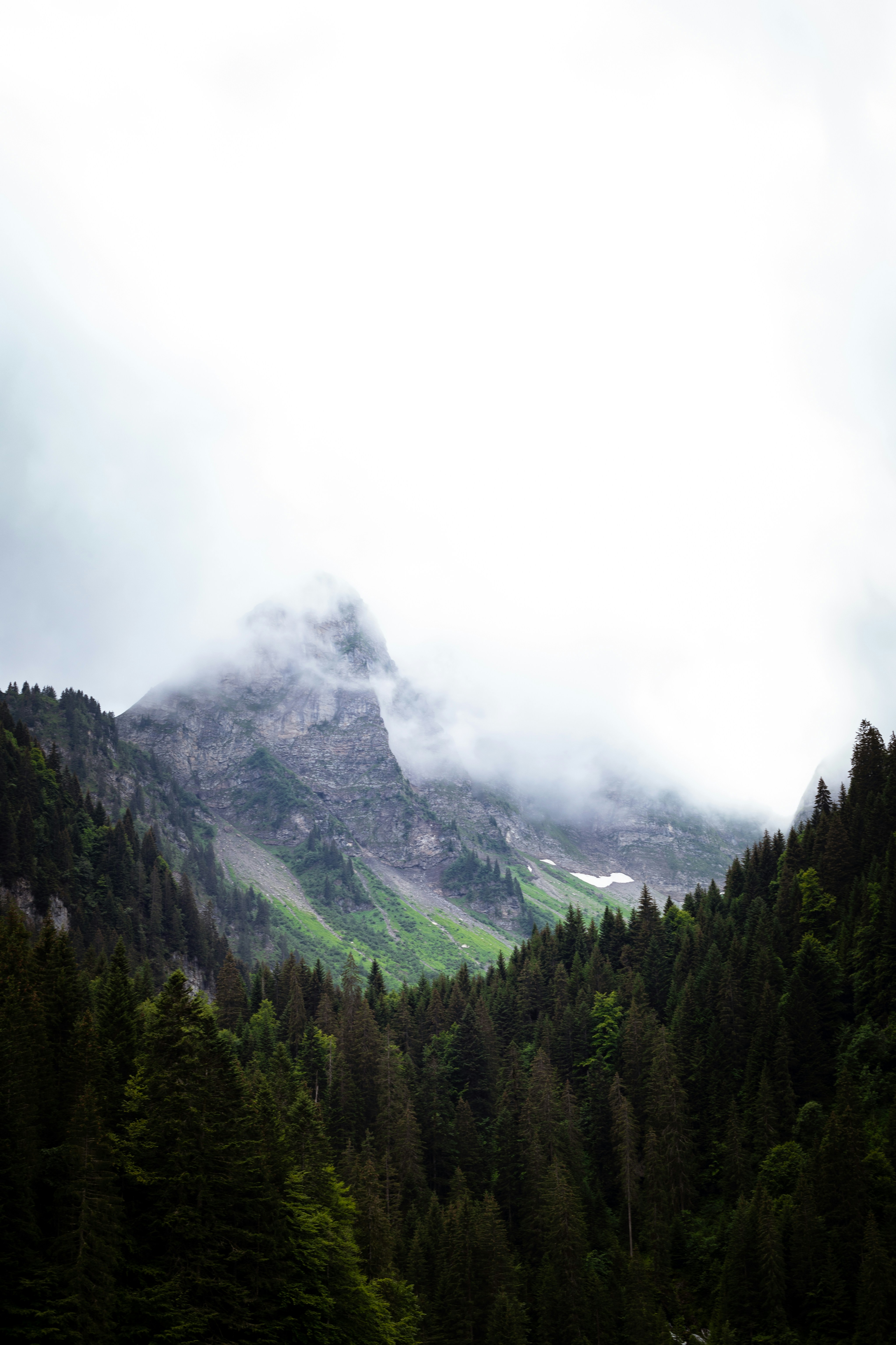 green trees on mountain under white clouds during daytime