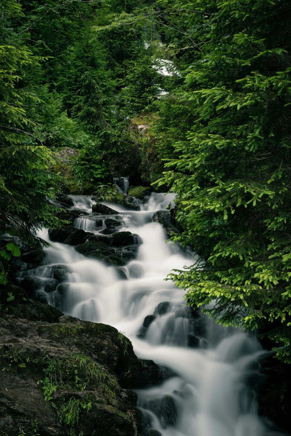 water falls in the forest