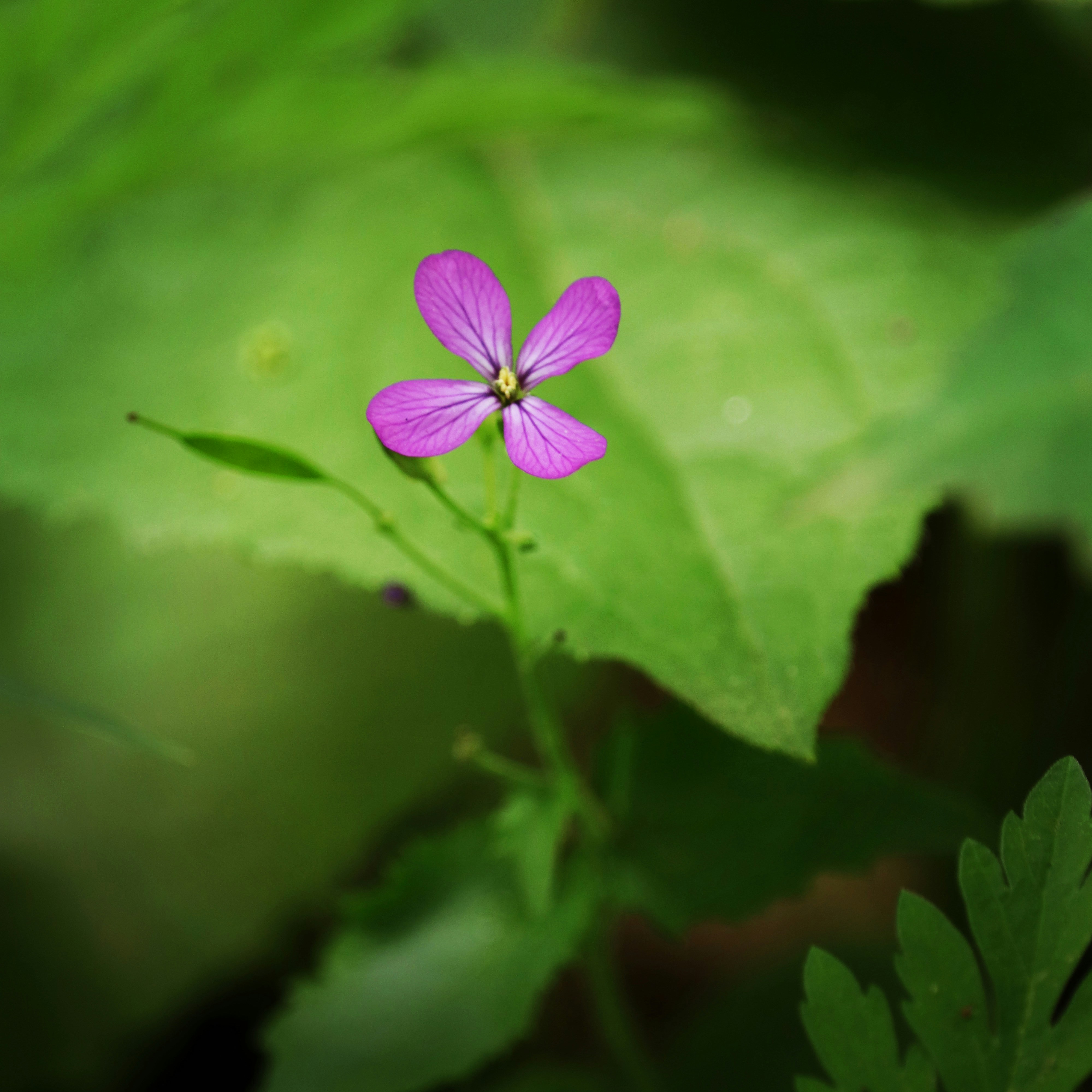 Photo by theochristopher