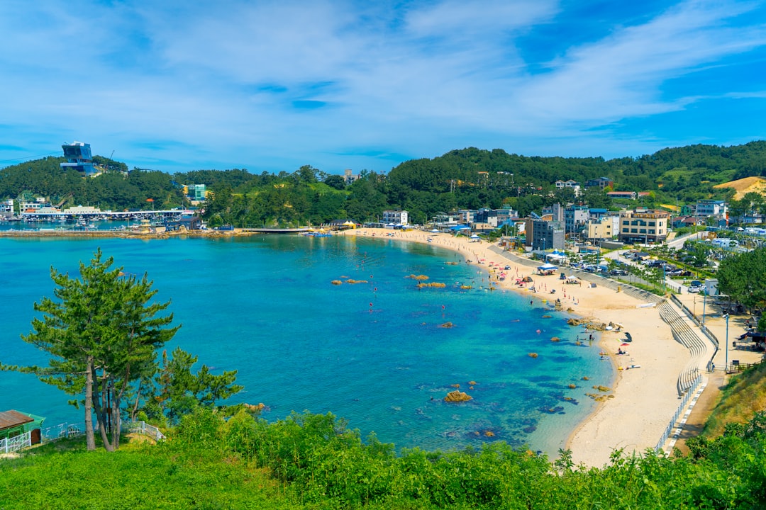 people on beach during daytime