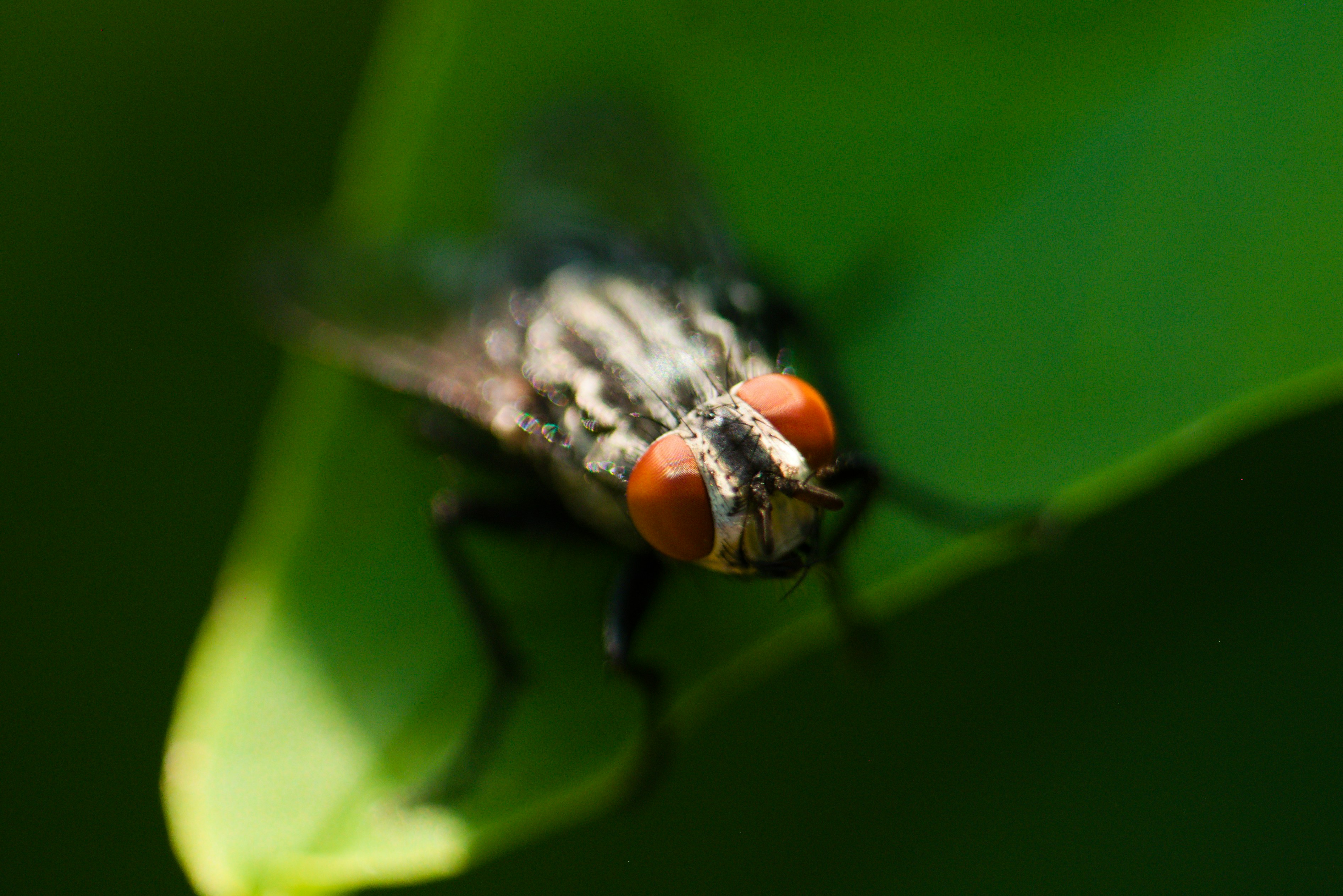 Photo by photosofstuff