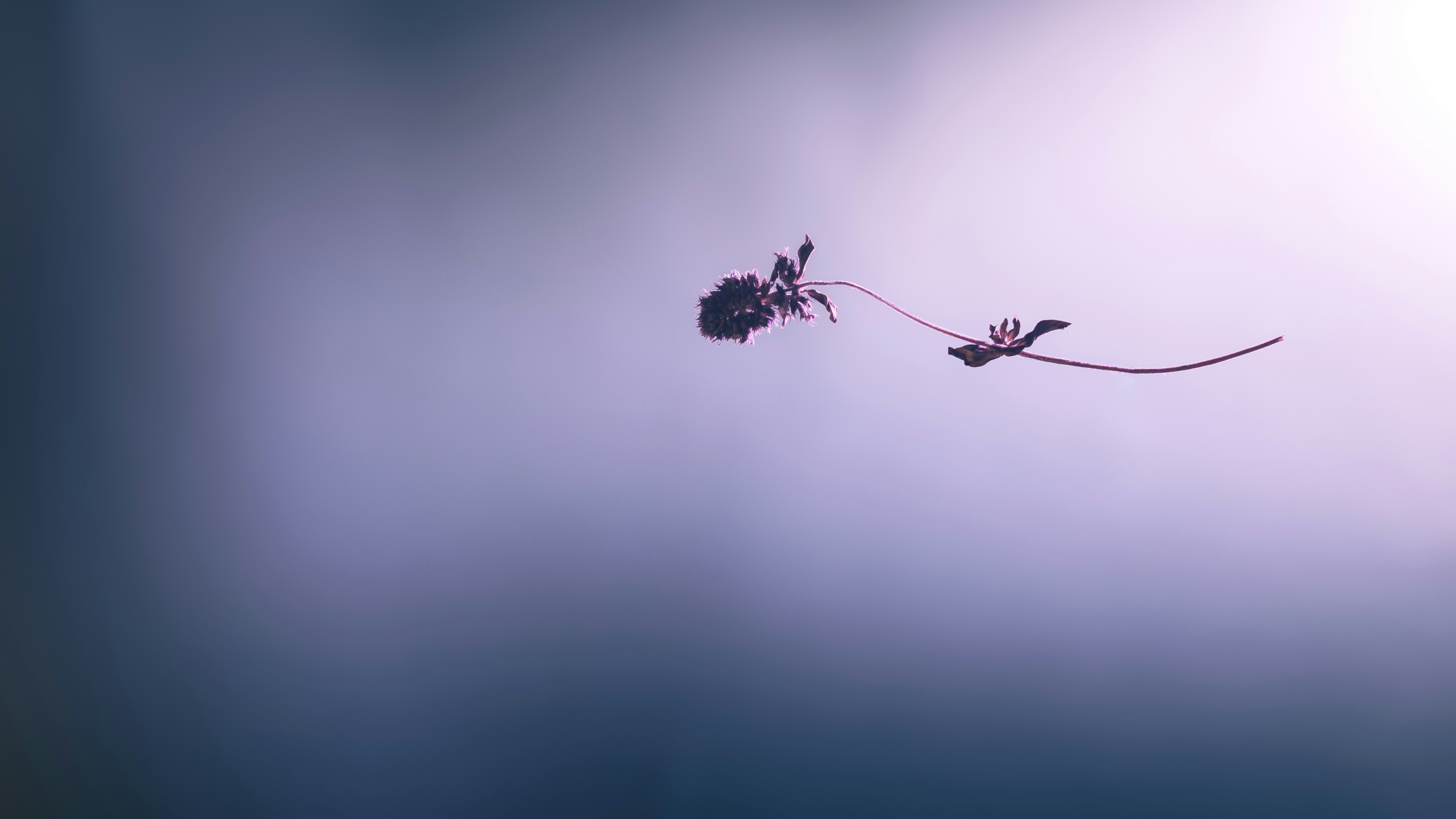 niranjana | निरंजन