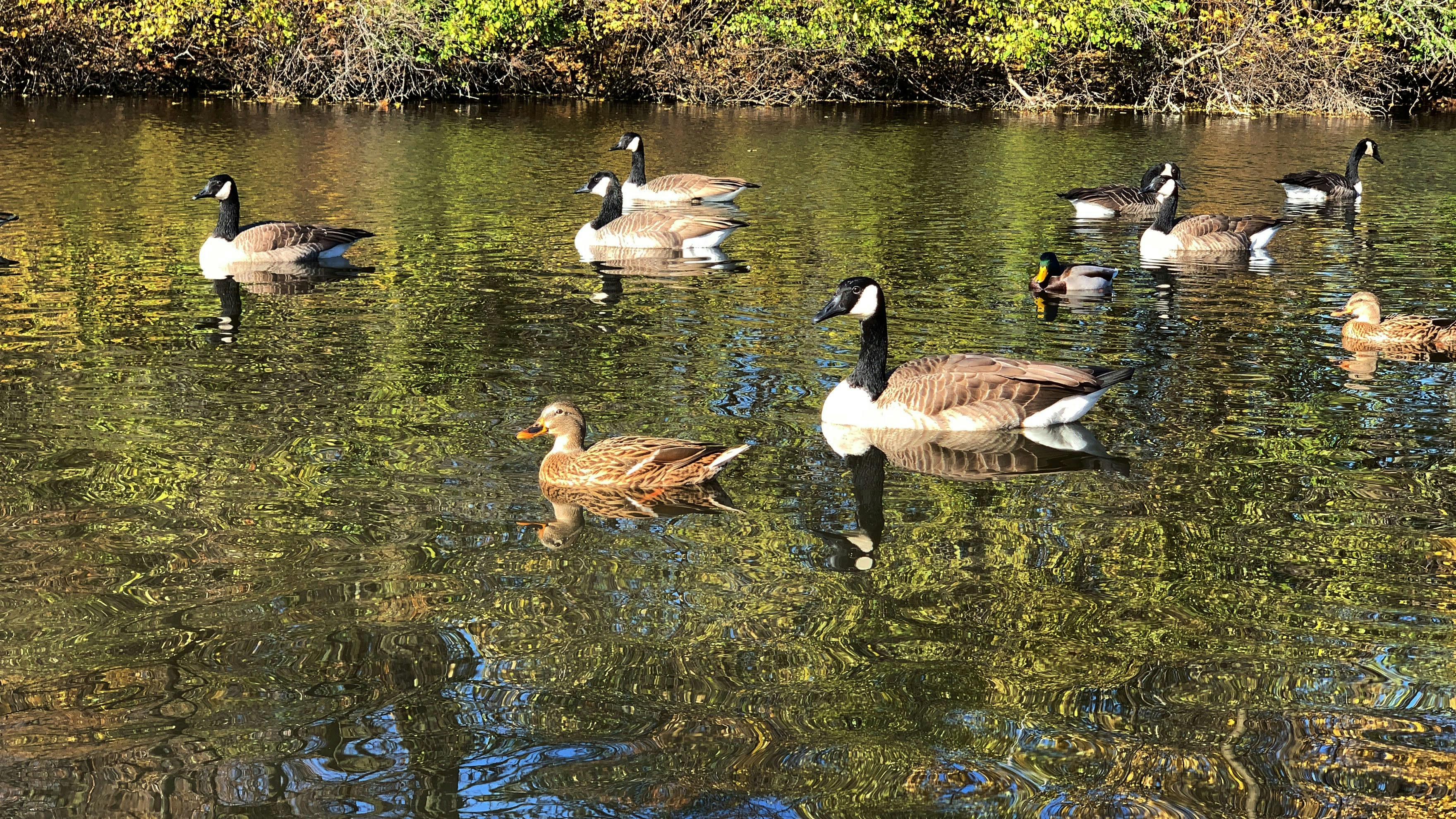 Photo by dreamforest__