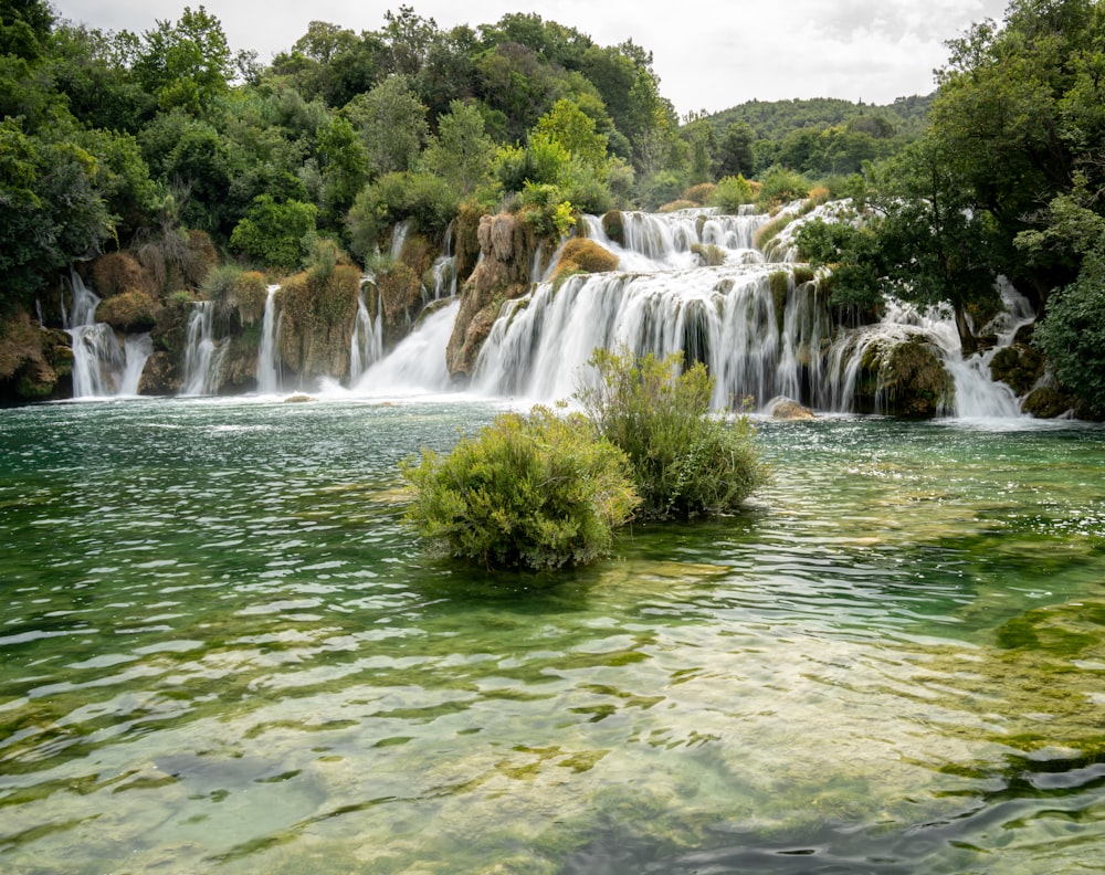 waterfalls in the middle of green trees