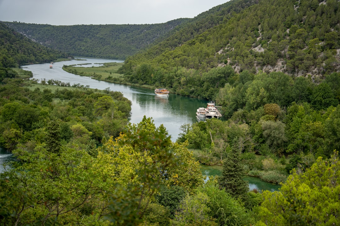 white boat on river between green trees during daytime