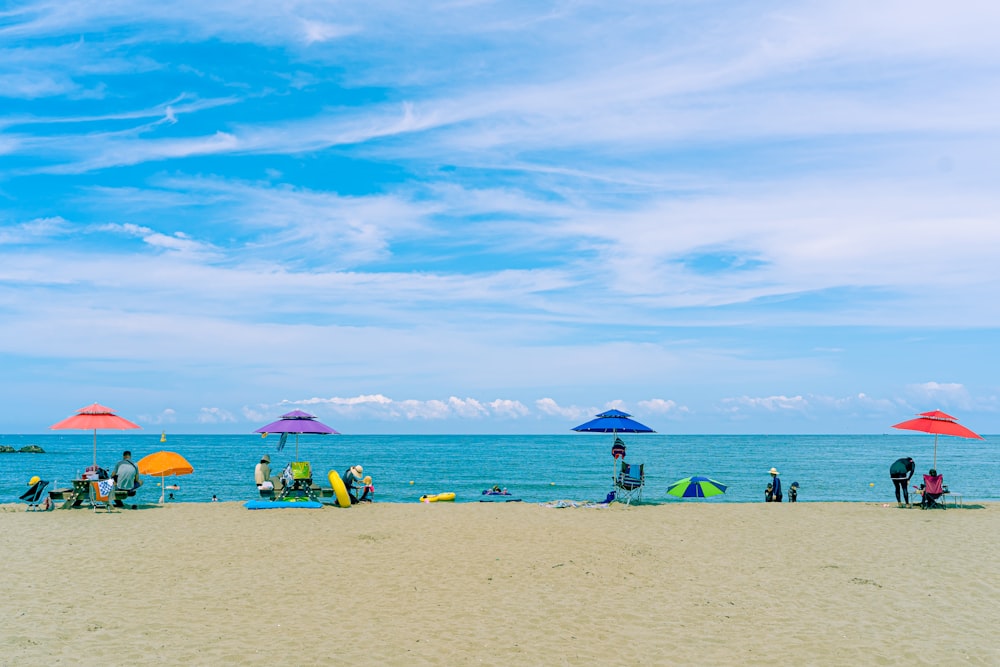 people on beach during daytime