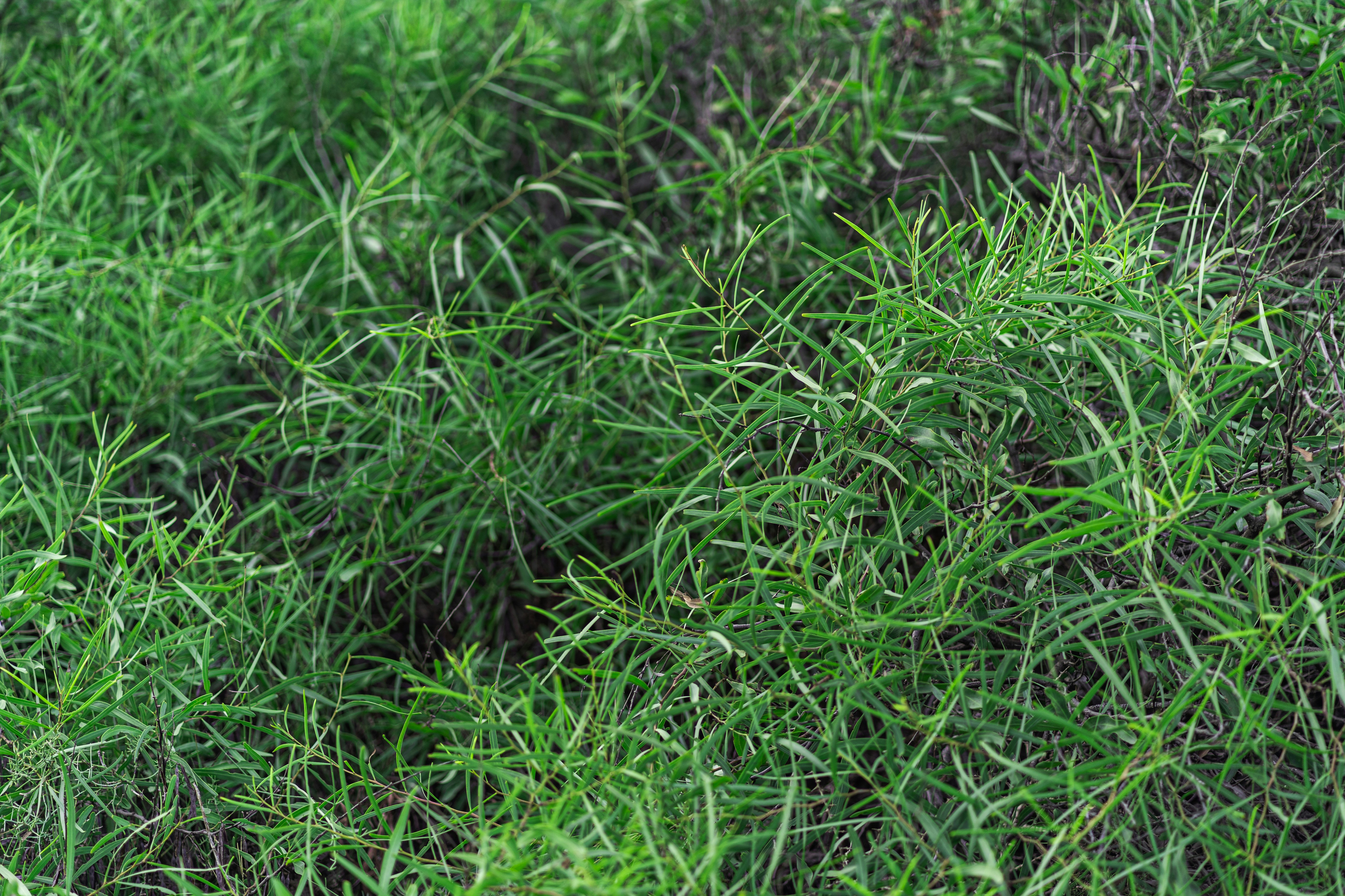 Photo 1628616137427 E26049e1ecd1?crop=entropy&cs=tinysrgb&fit=max&fm=jpg&ixid=M3w1MjQ0NjR8MHwxfHNlYXJjaHwxNnx8Yml6Z3Jvd3RofGVufDB8MHx8fDE3NjI2NjY3MTR8MA&ixlib=rb 4.1