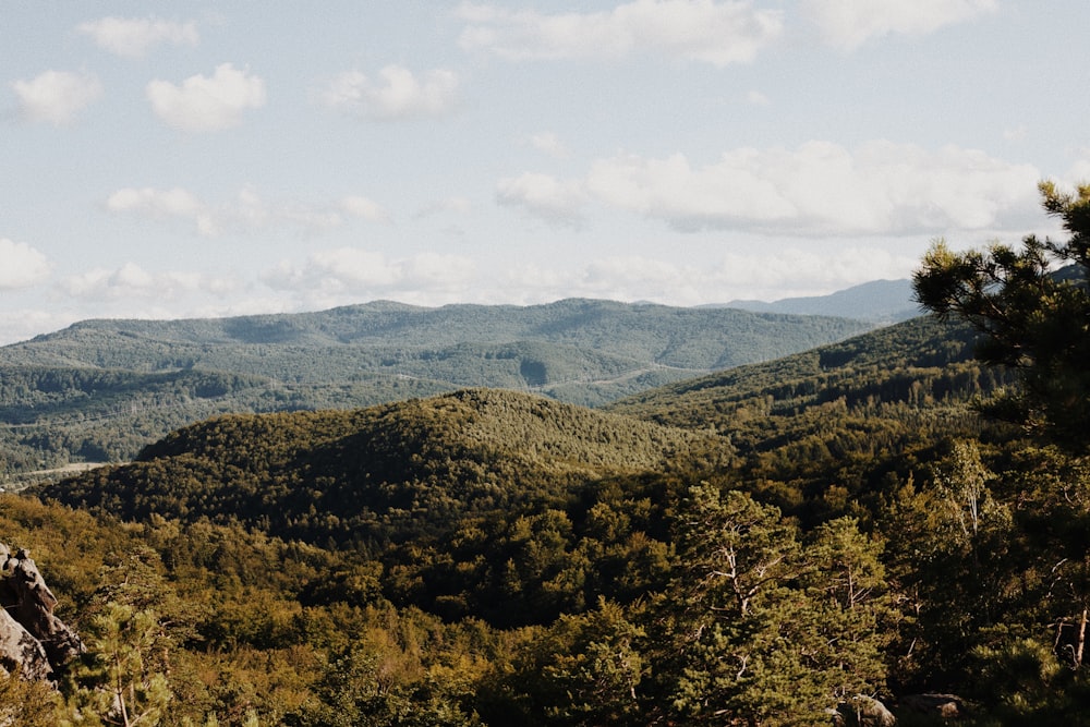 green trees on mountain under white clouds during daytime