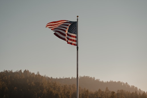 An American flag waves prominently against a clear sky, with a forested hillside in the background. The flag is slightly tattered and is mounted on a tall, metallic pole.