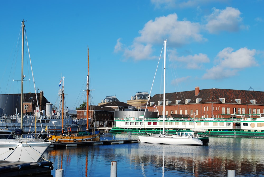 white and blue boat on dock during daytime