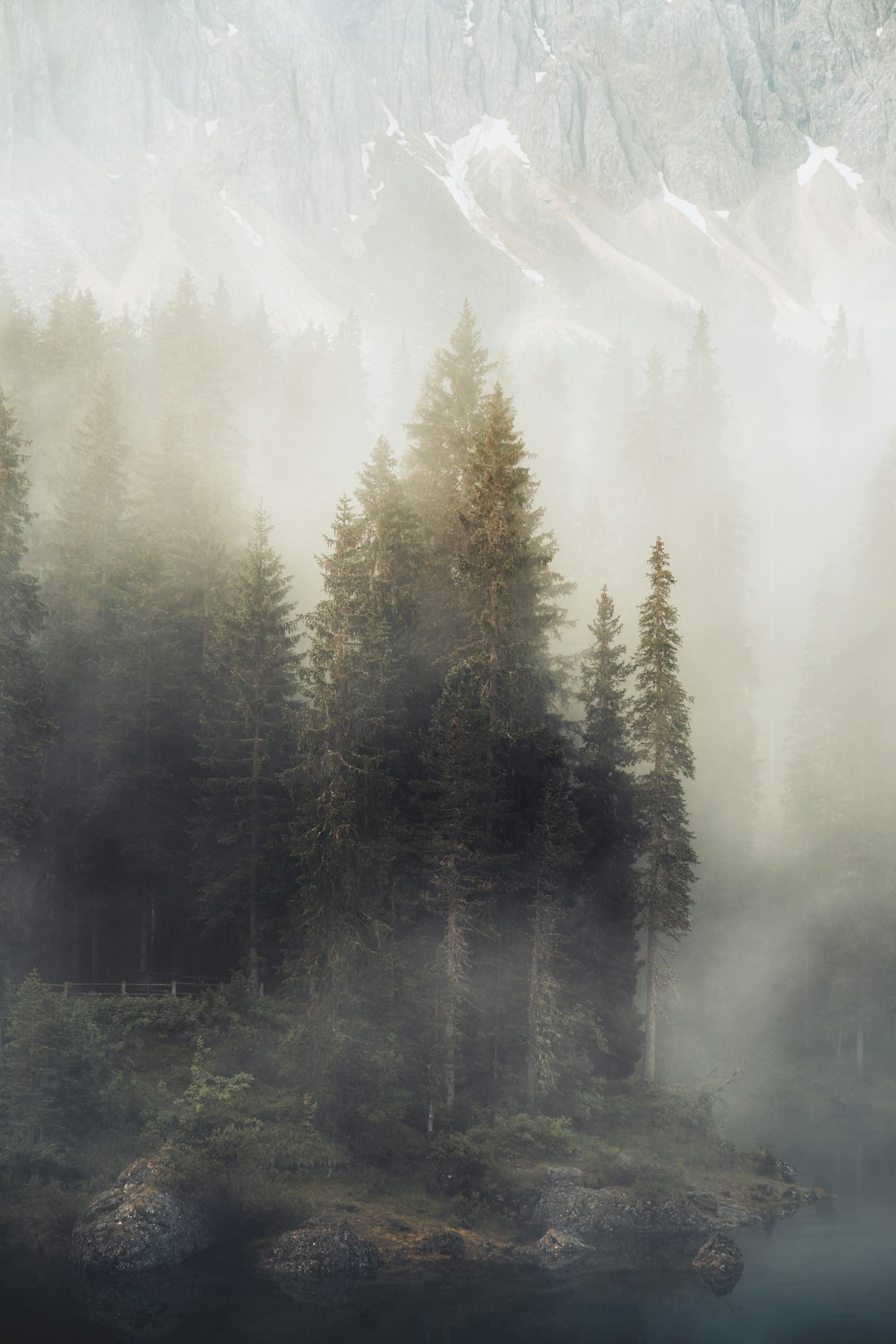 green trees on mountain during daytime