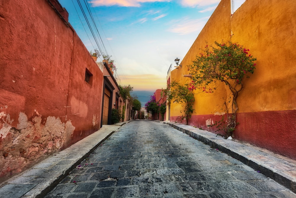 Carretera de hormigón gris entre casas de hormigón marrón durante el día