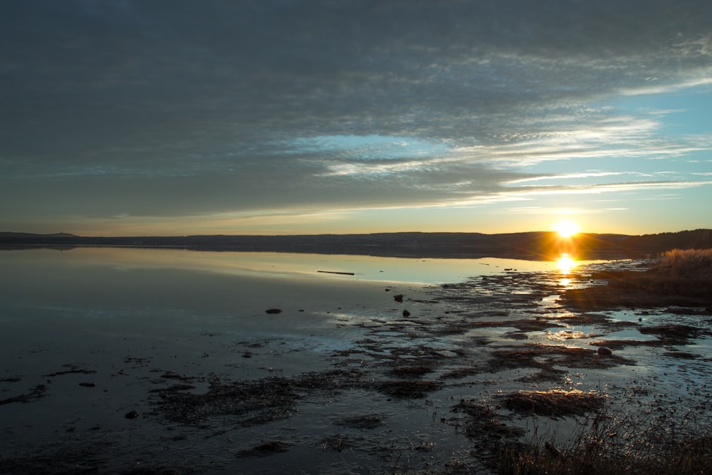 green grass on body of water during sunset