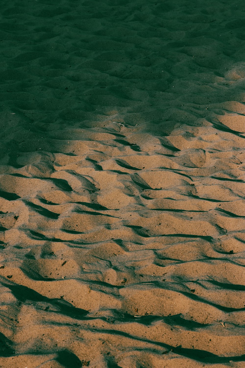 brown sand near body of water during daytime