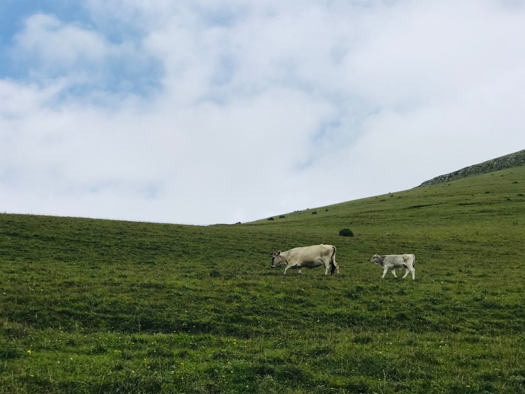 Natural landscape photo spot Tavush Province Chkalovka