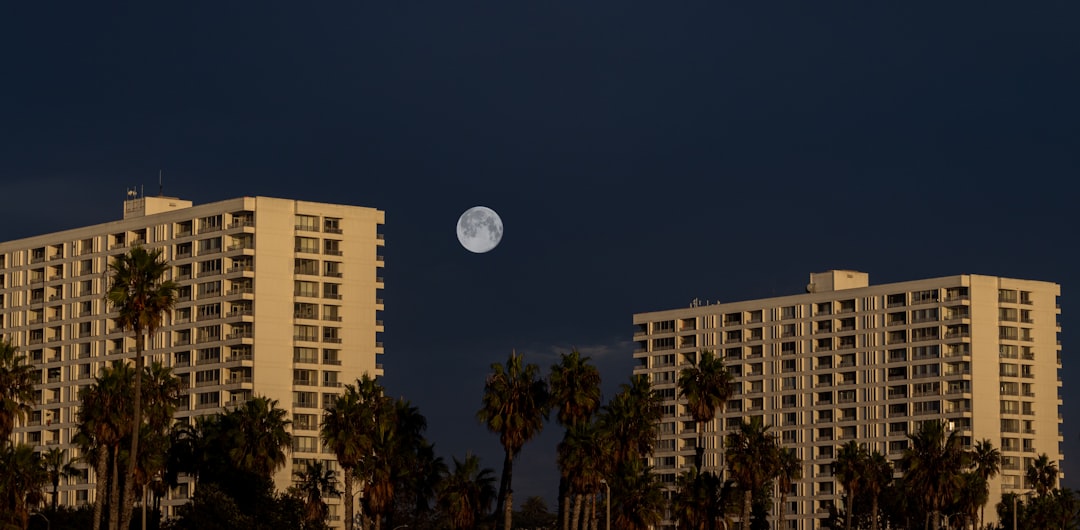 white concrete building near trees during nighttime