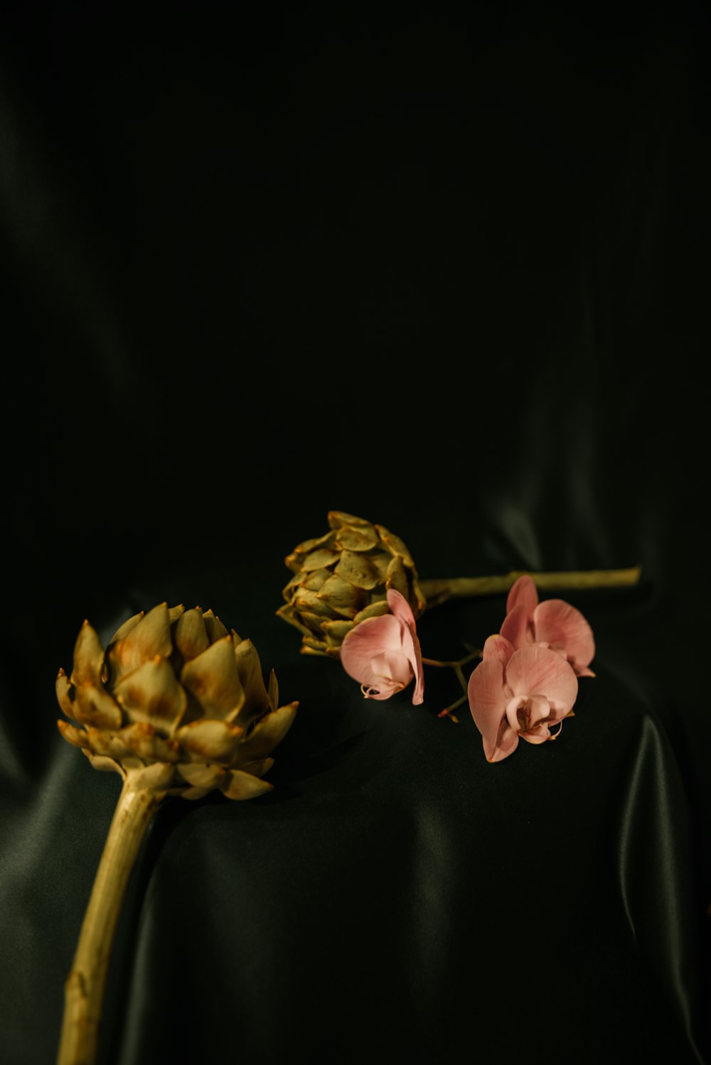 a couple of pink flowers sitting on top of a black cloth