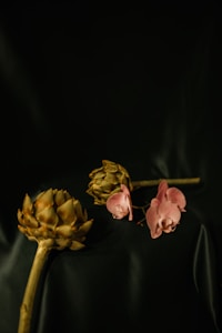 Two artichokes are placed against a dark background, one lying down and the other standing upright. Beside them are a few delicate pink flowers, possibly orchids. The arrangement creates a contrast between the rough texture of the artichokes and the softness of the flowers.