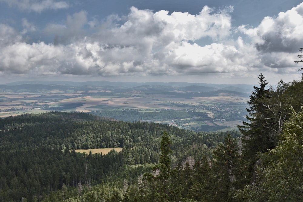 árvores verdes sob nuvens brancas durante o dia