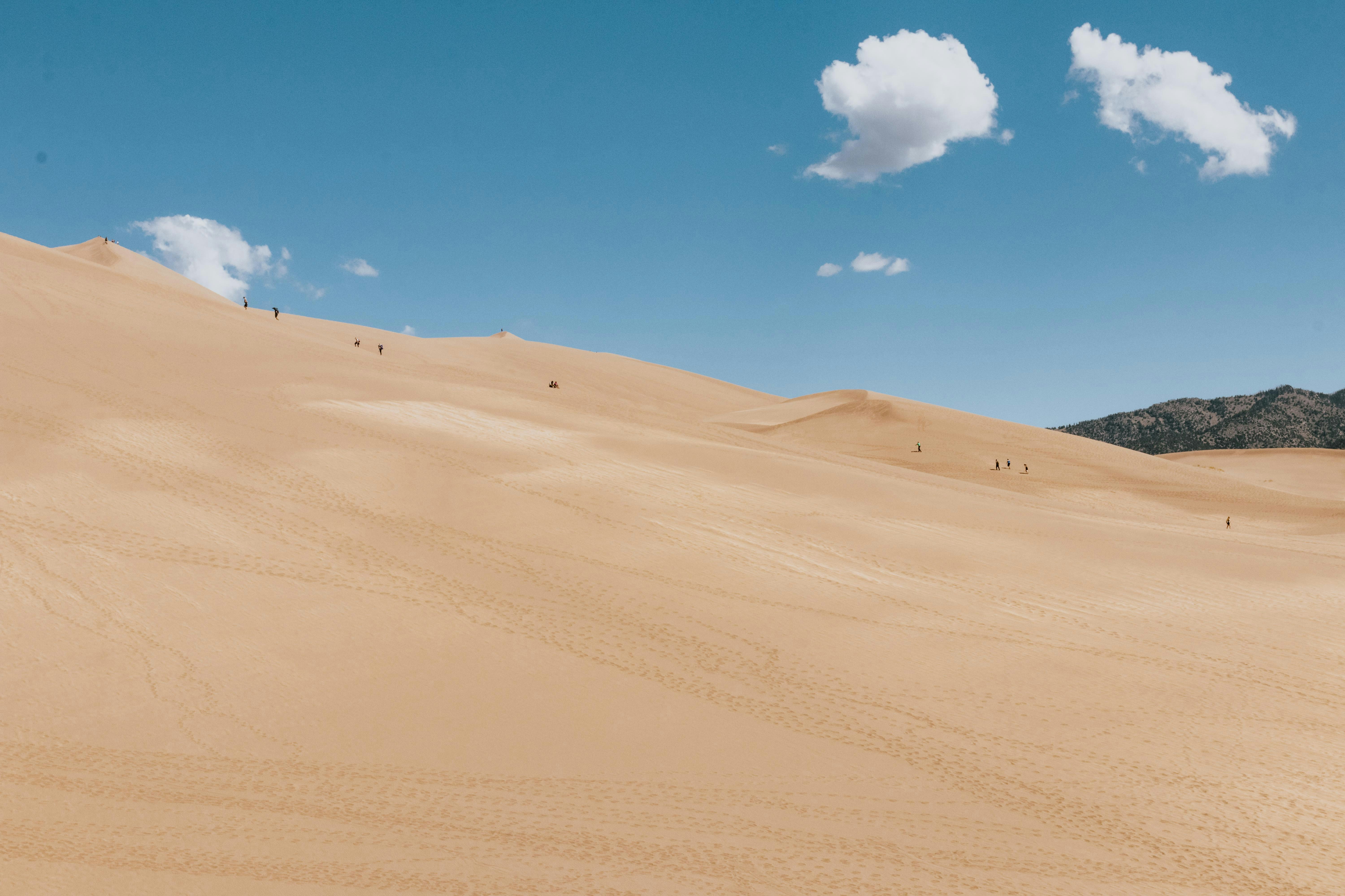 The 2026 Revival of Home Preserves: Market Strategies for Small Food Brands