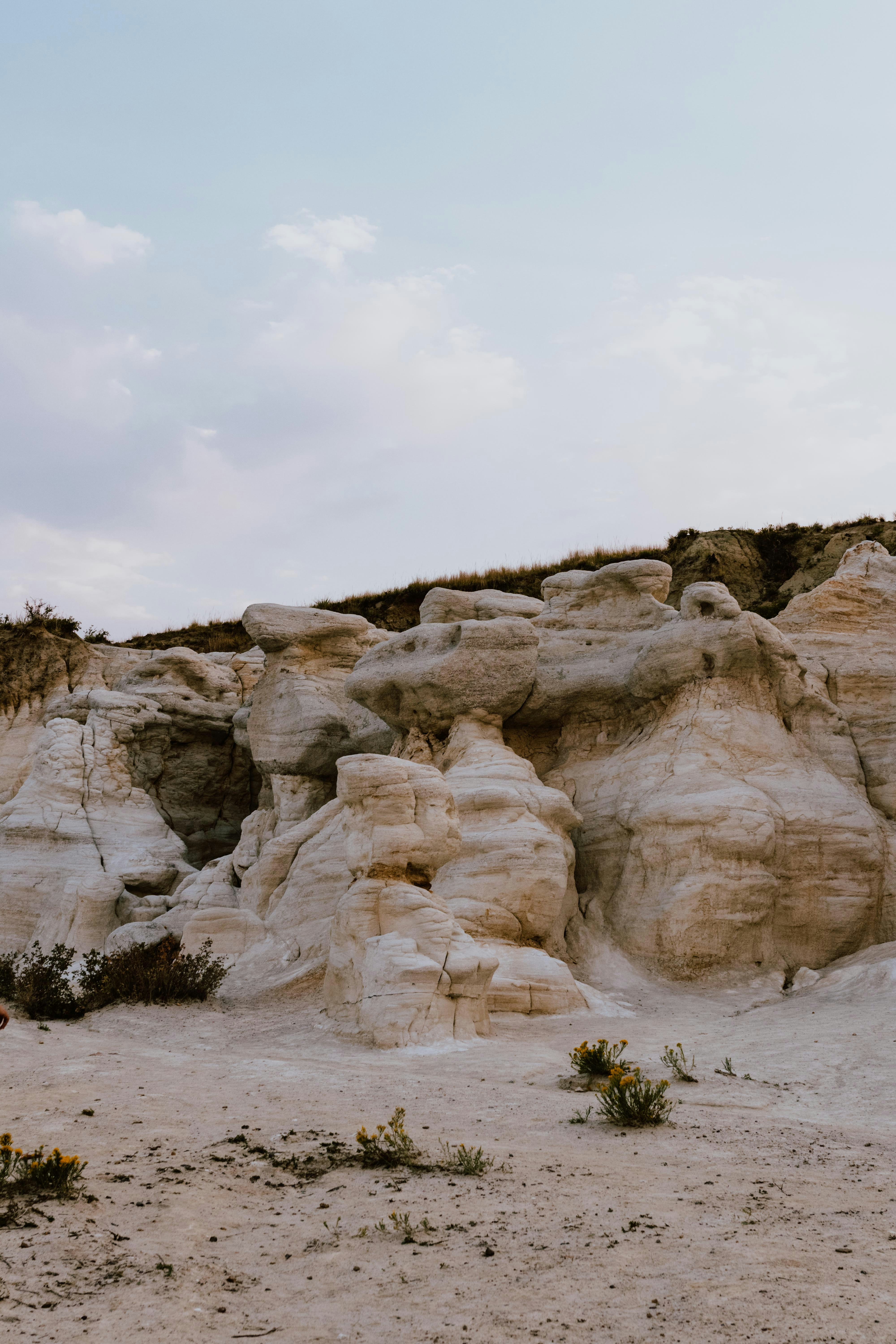 Photo by paularturotorres