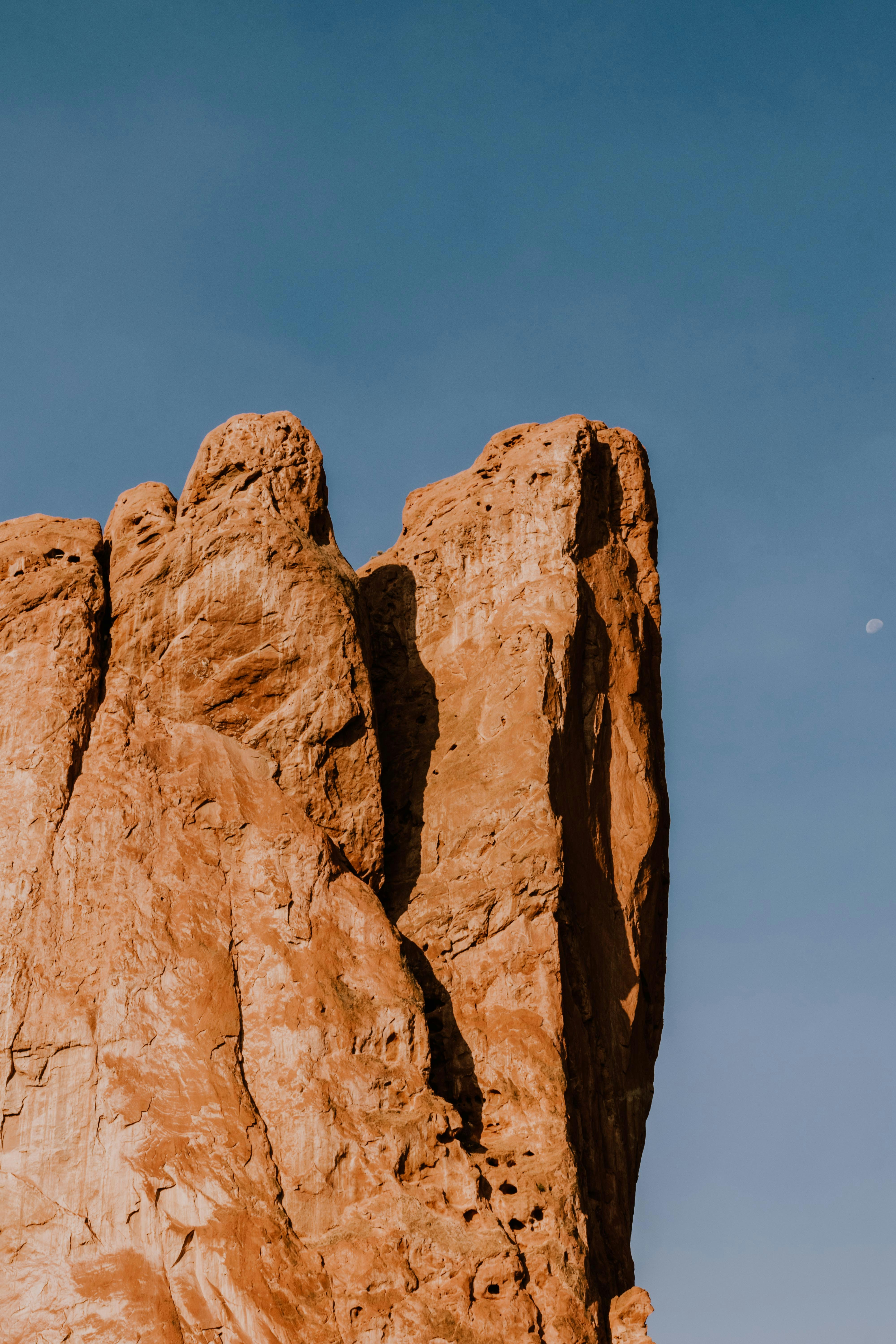 Photo by paularturotorres