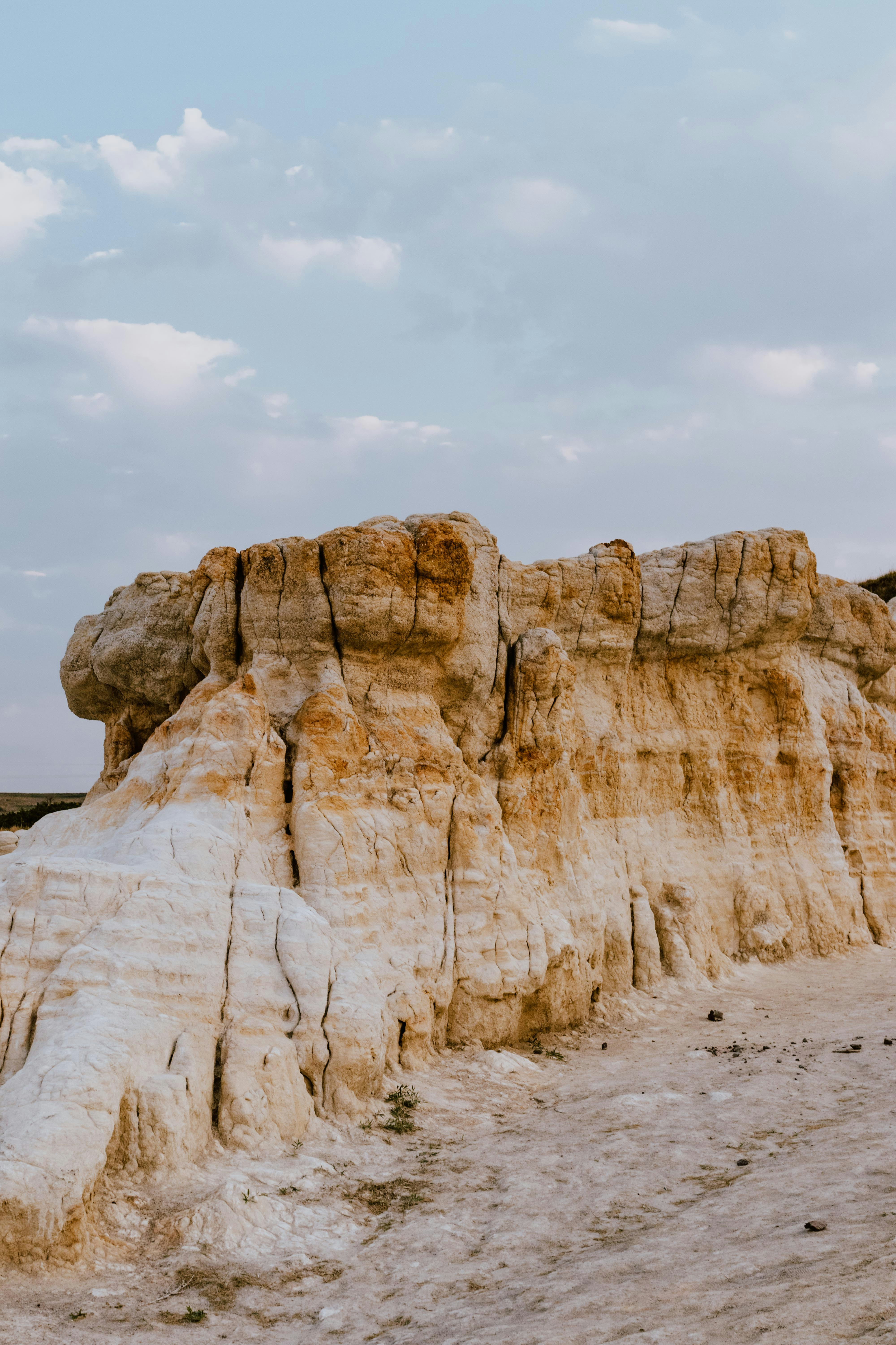 Photo by paularturotorres