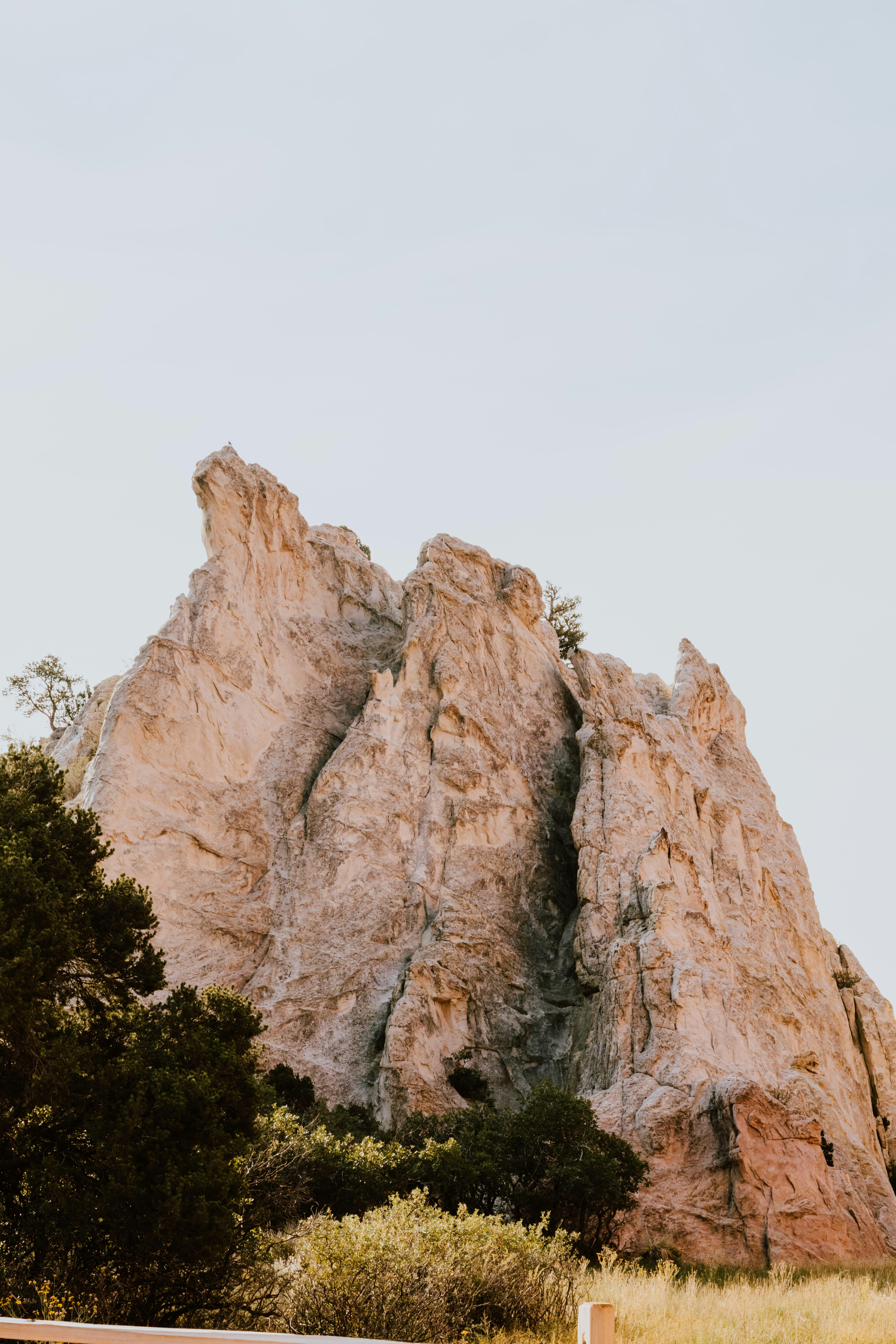 Photo by paularturotorres