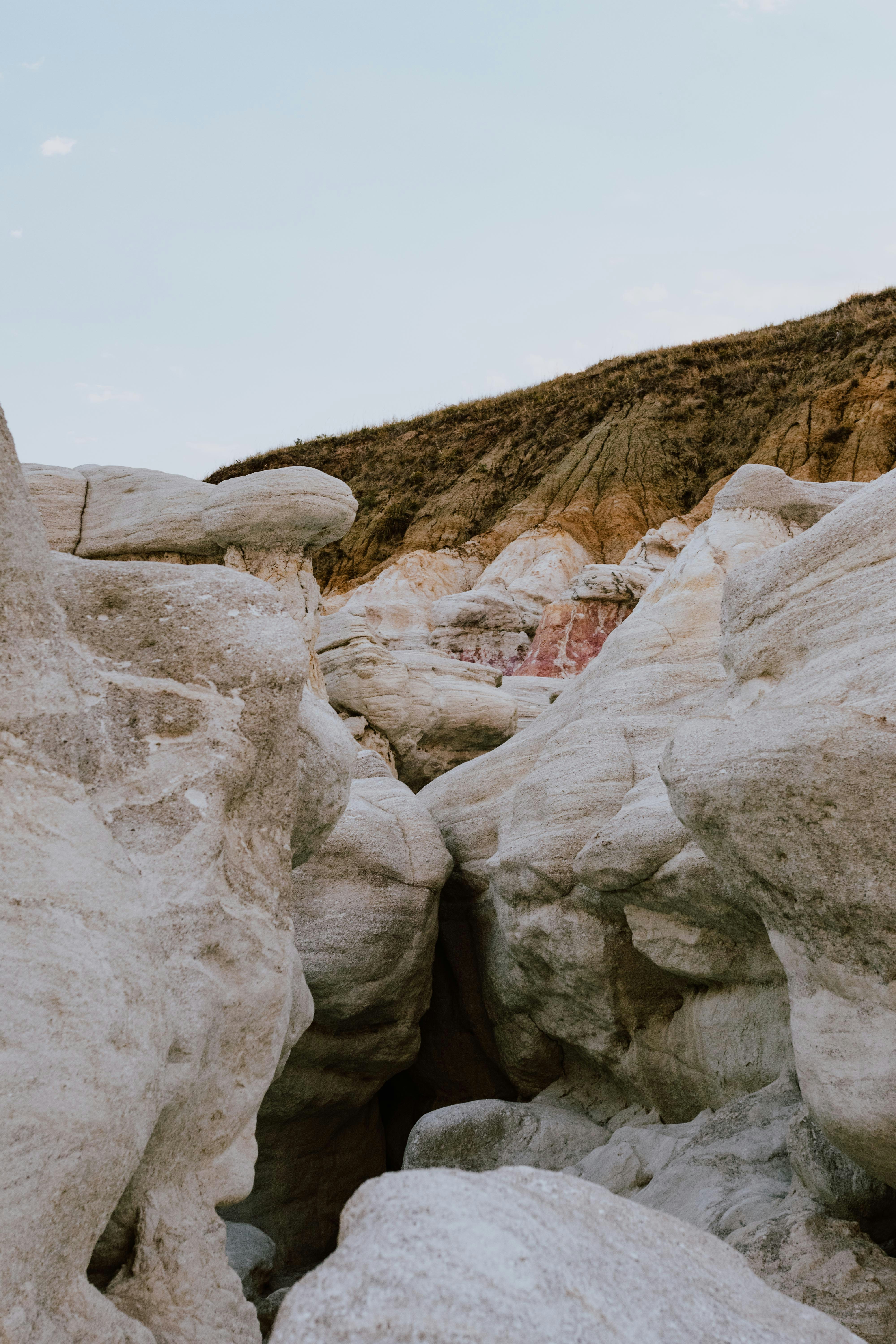 Photo by paularturotorres