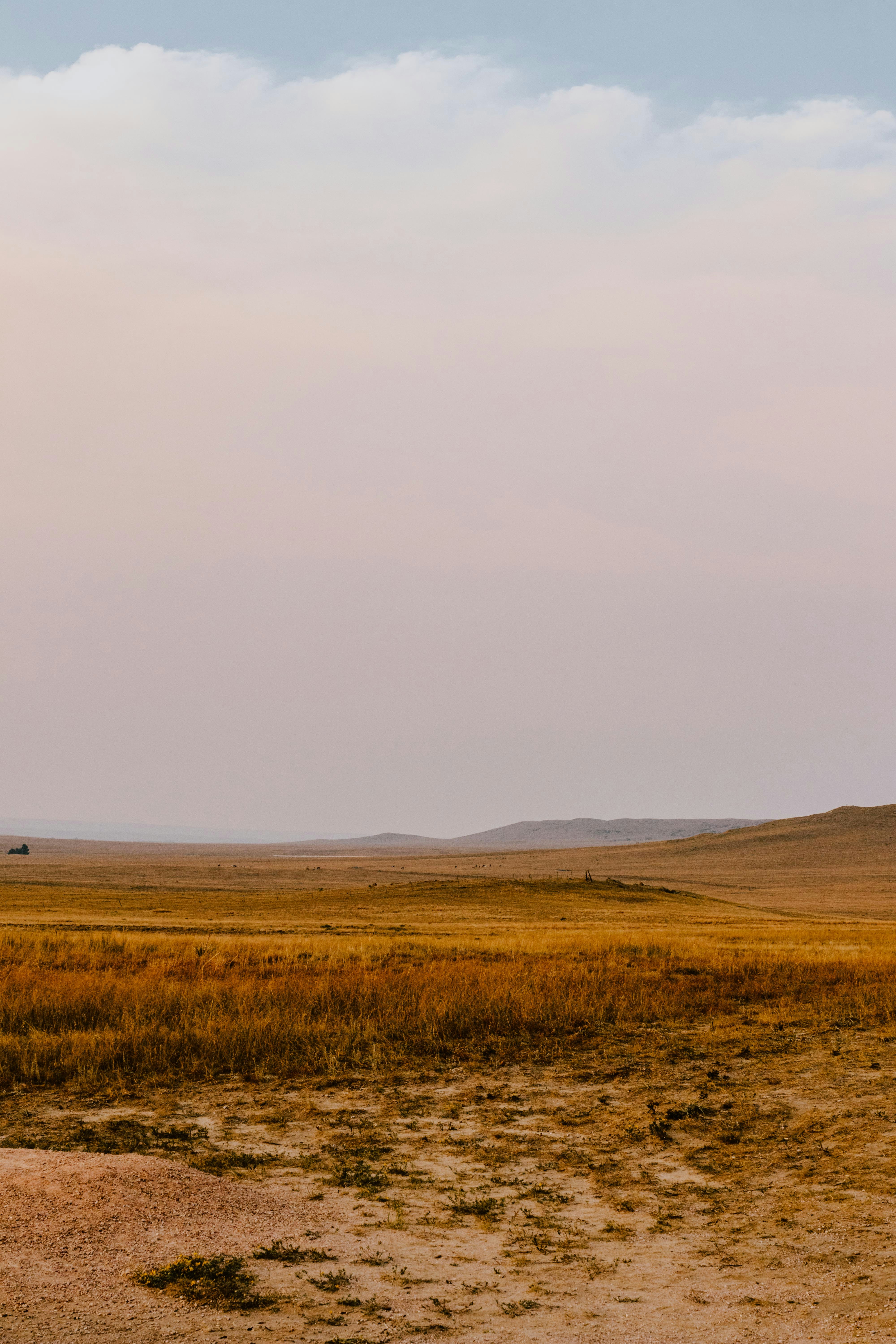 Photo by paularturotorres