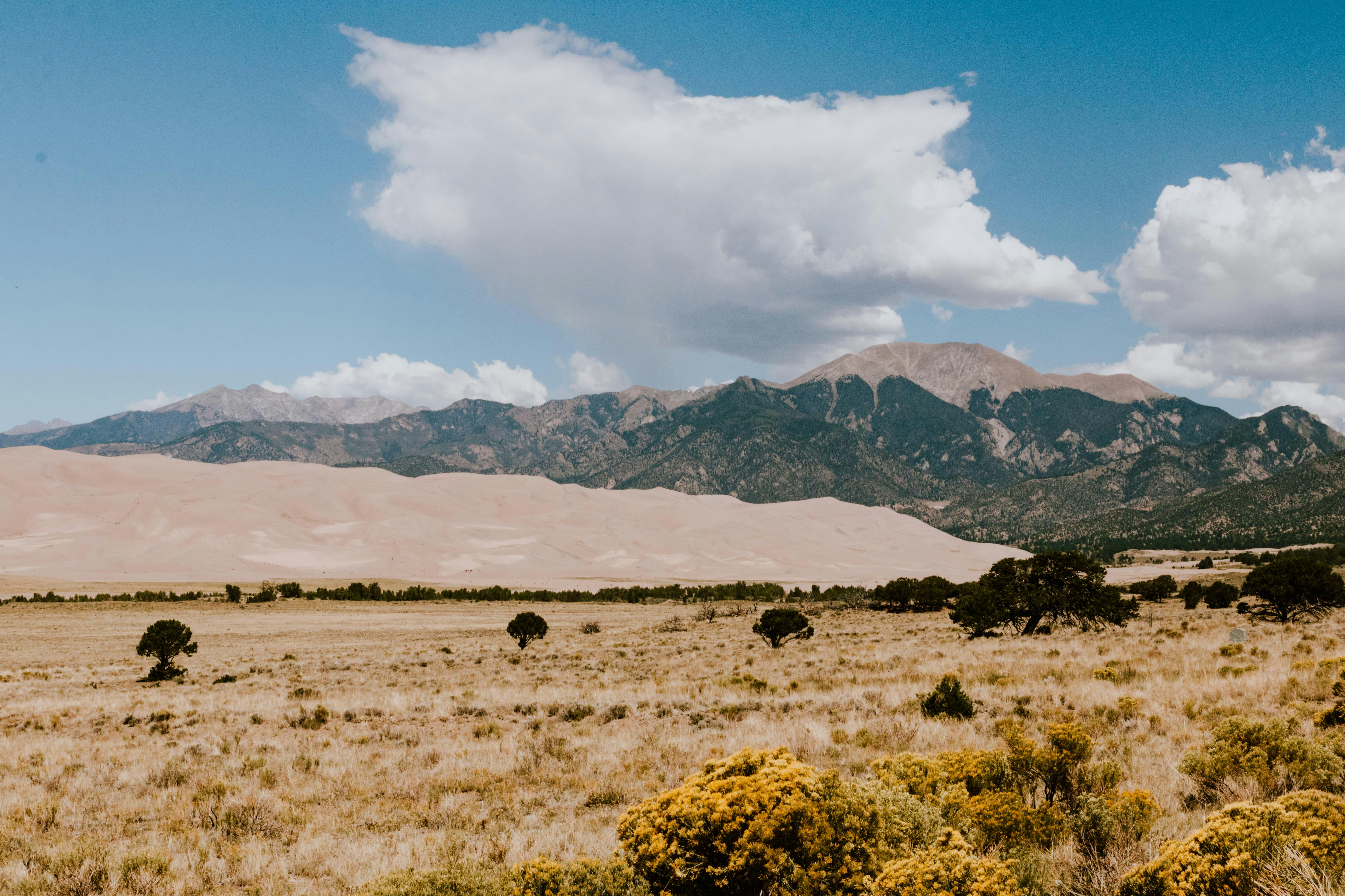 Photo by paularturotorres