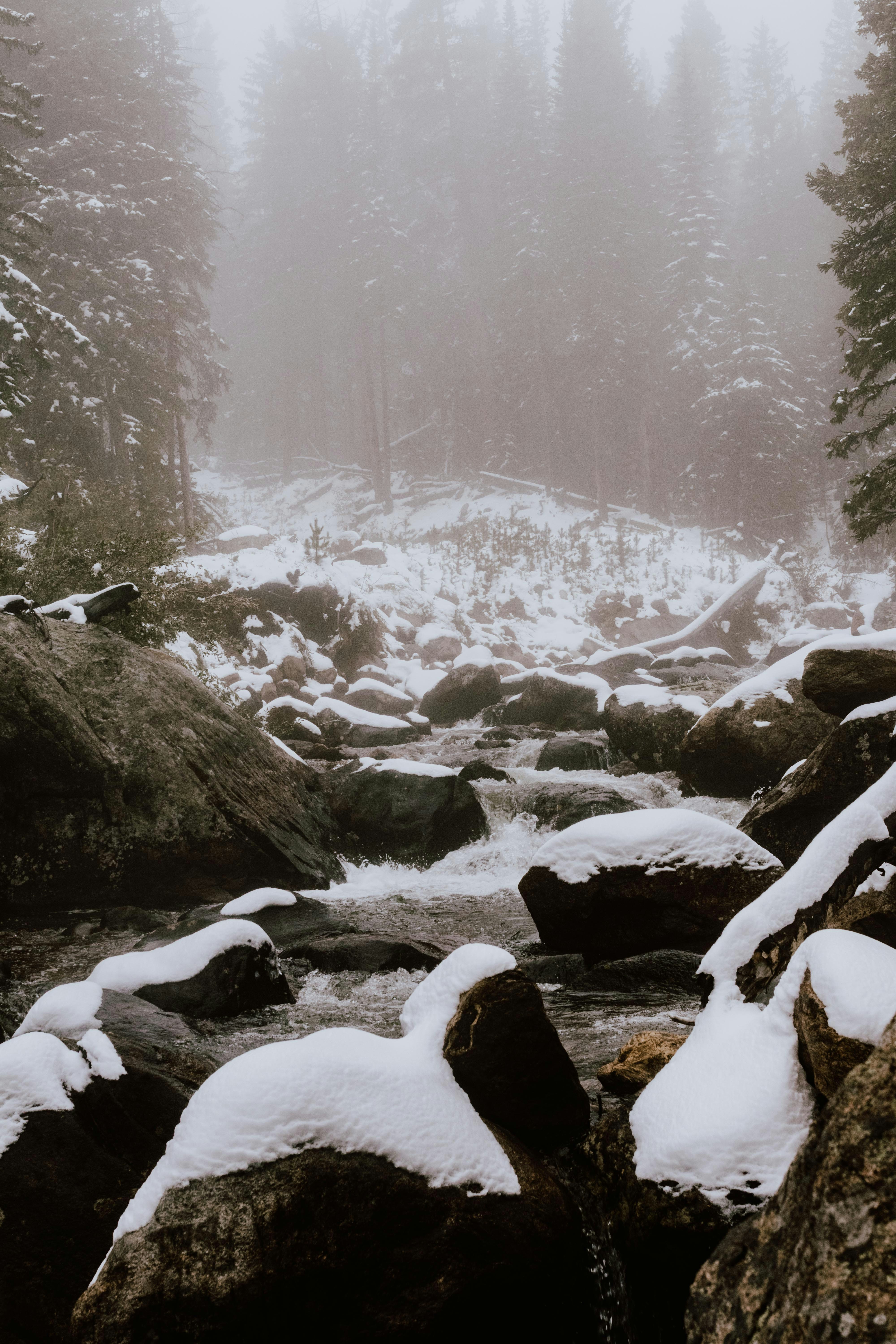 Photo by paularturotorres