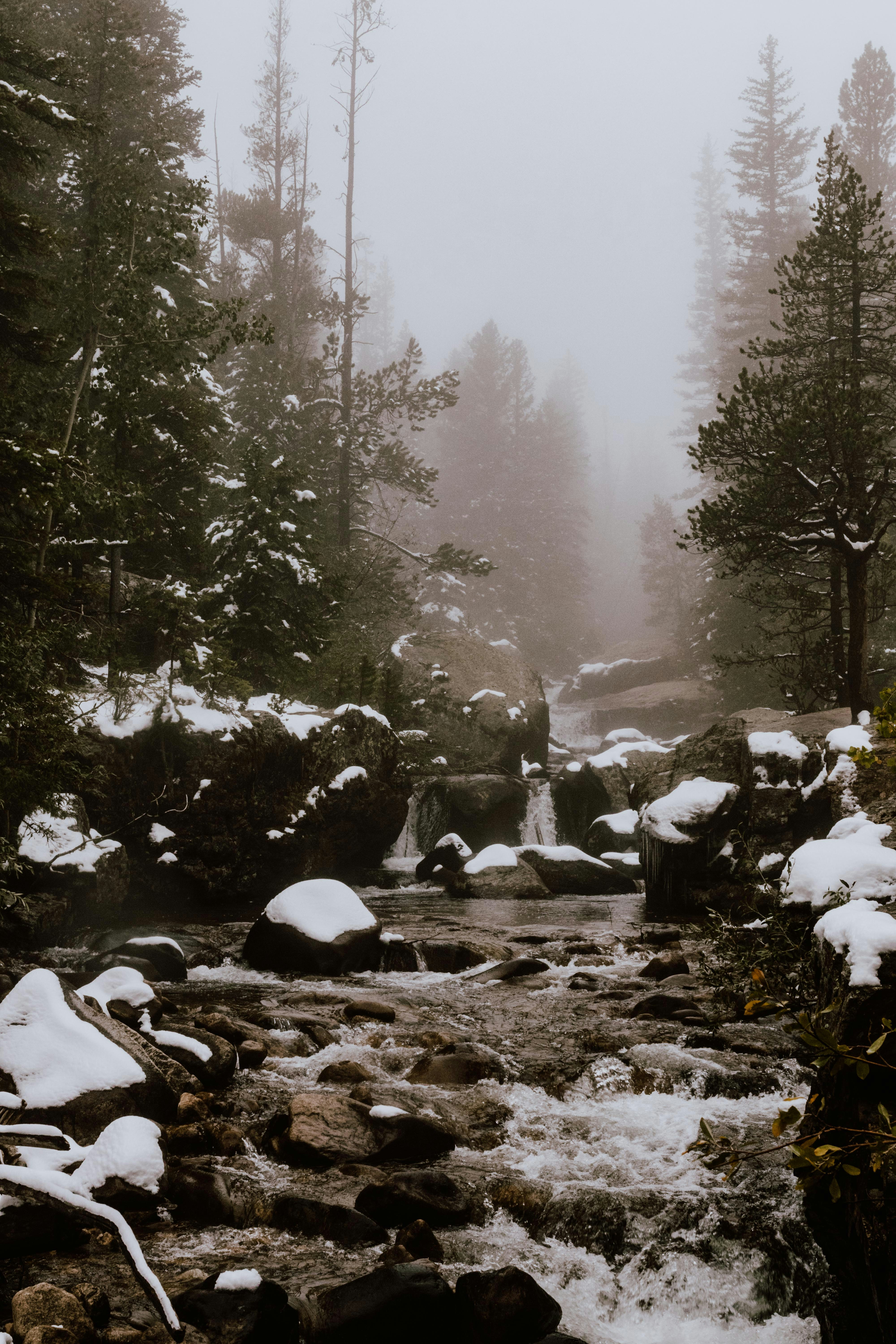 Photo by paularturotorres