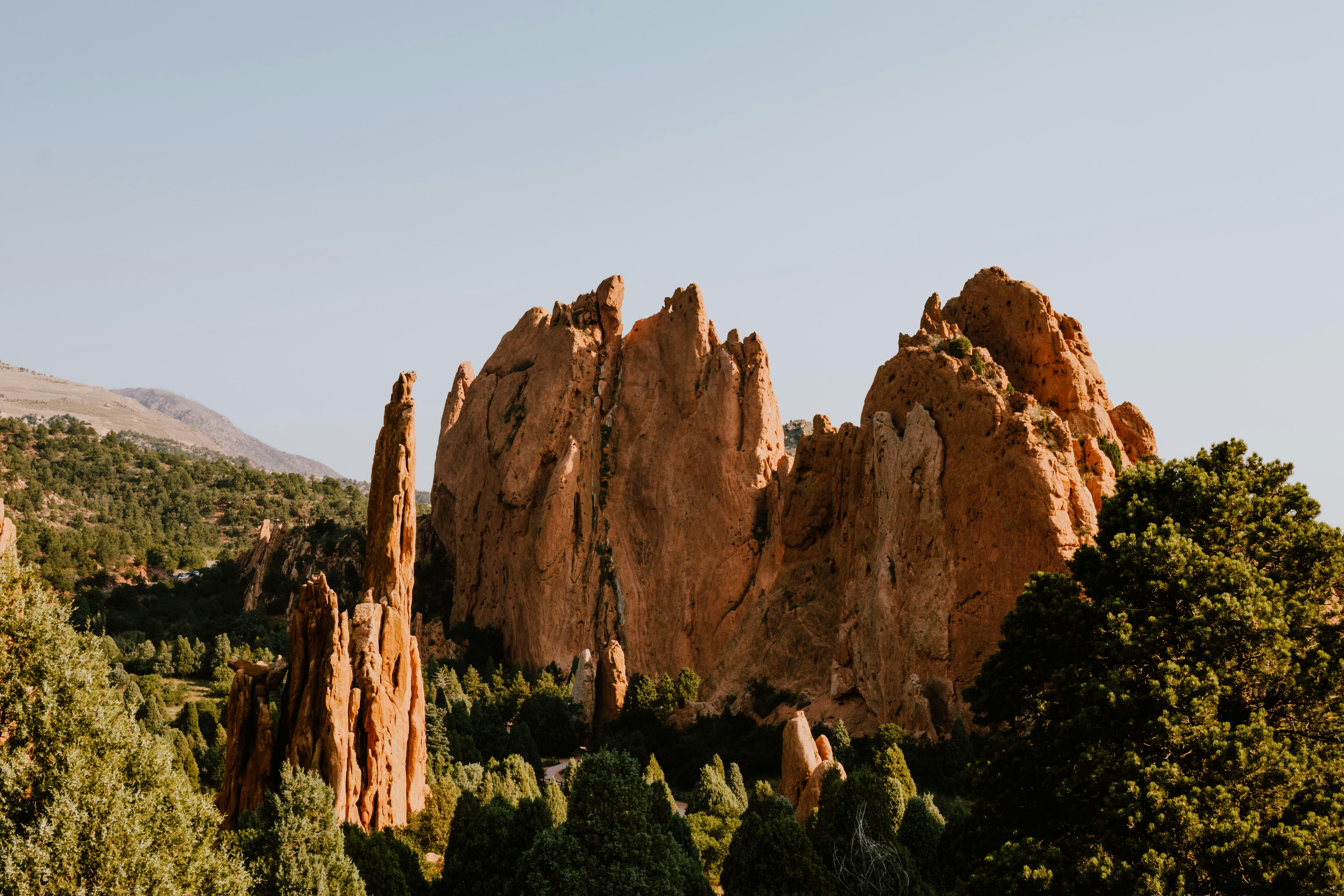 Photo by paularturotorres