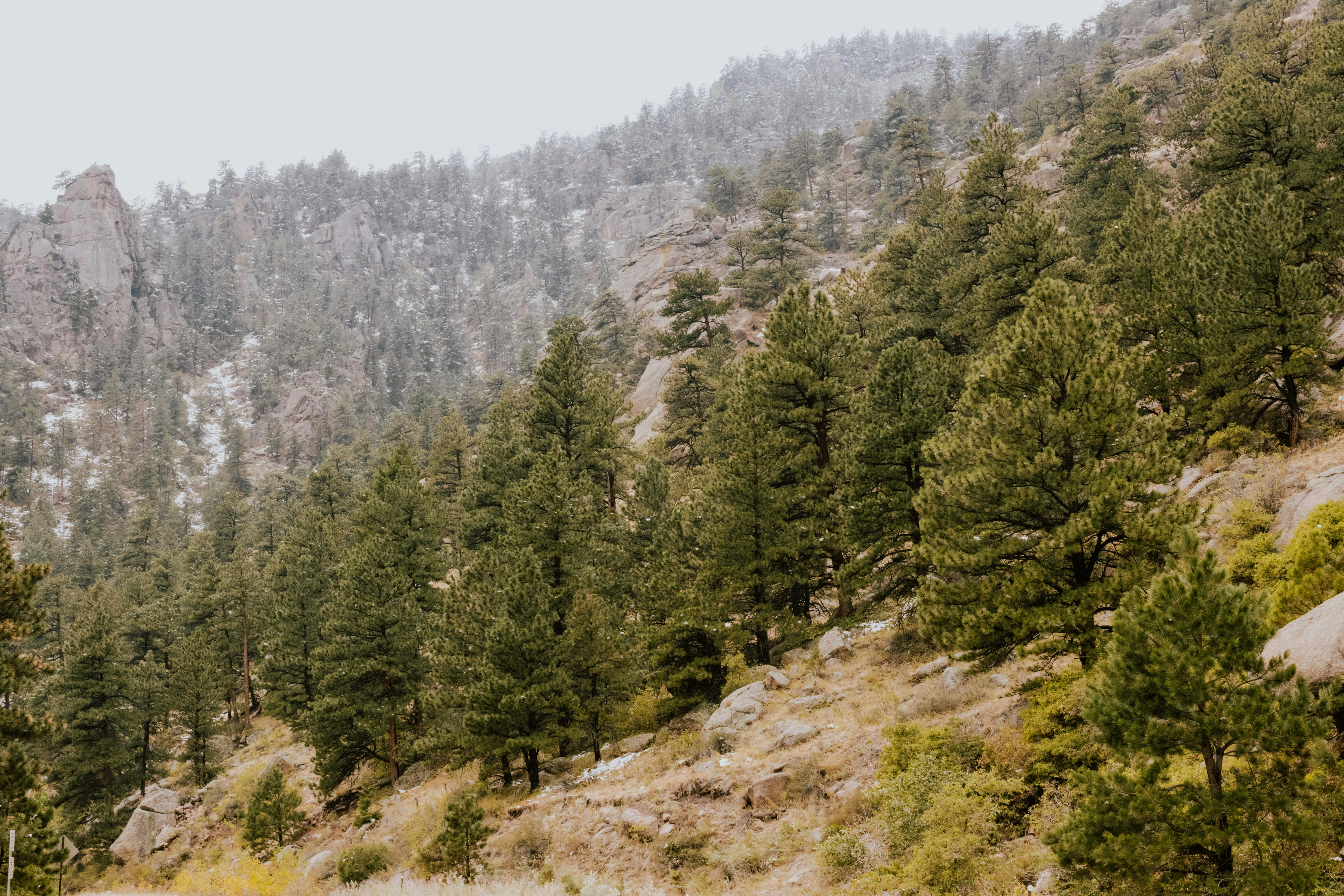 Photo by paularturotorres