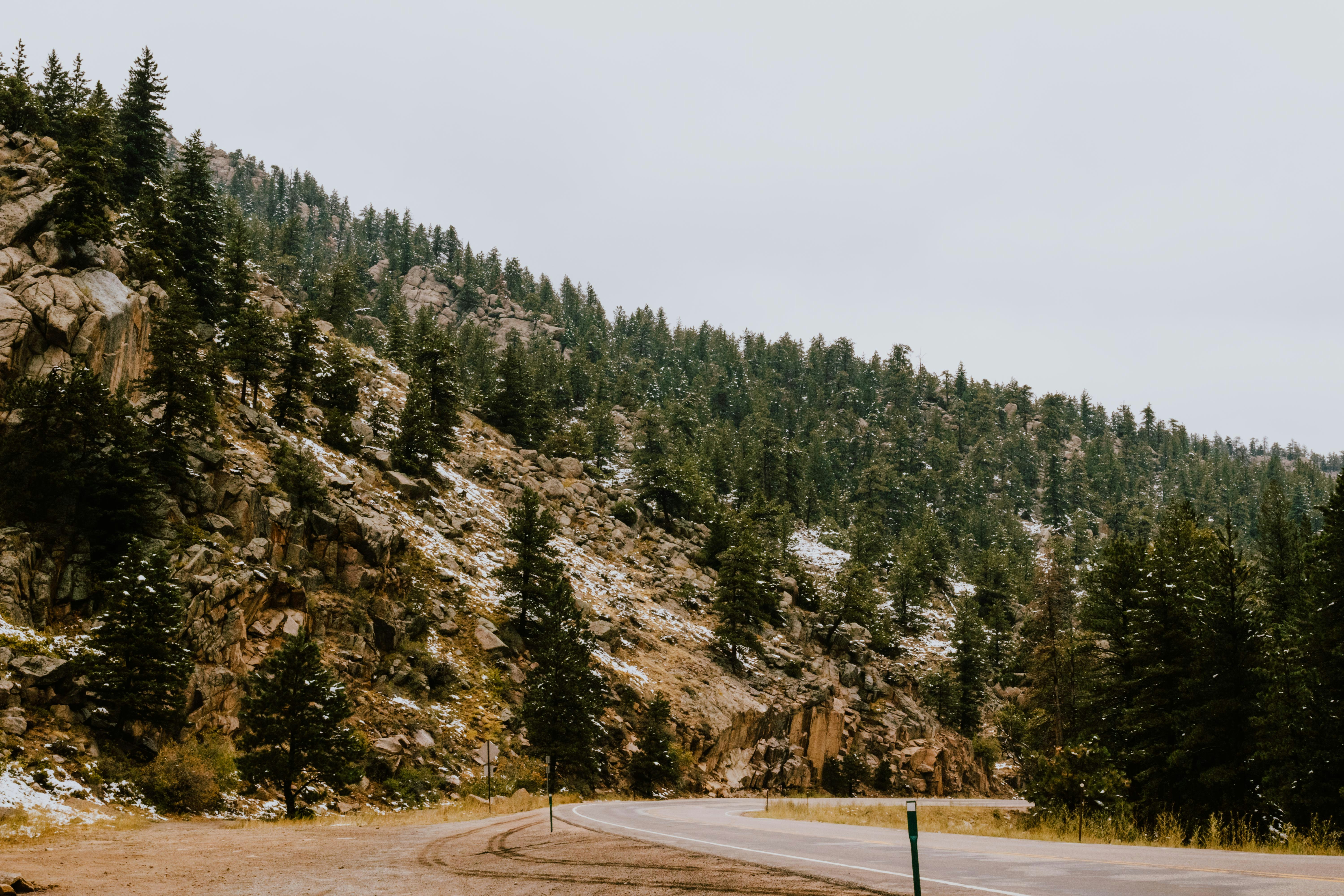 Photo by paularturotorres