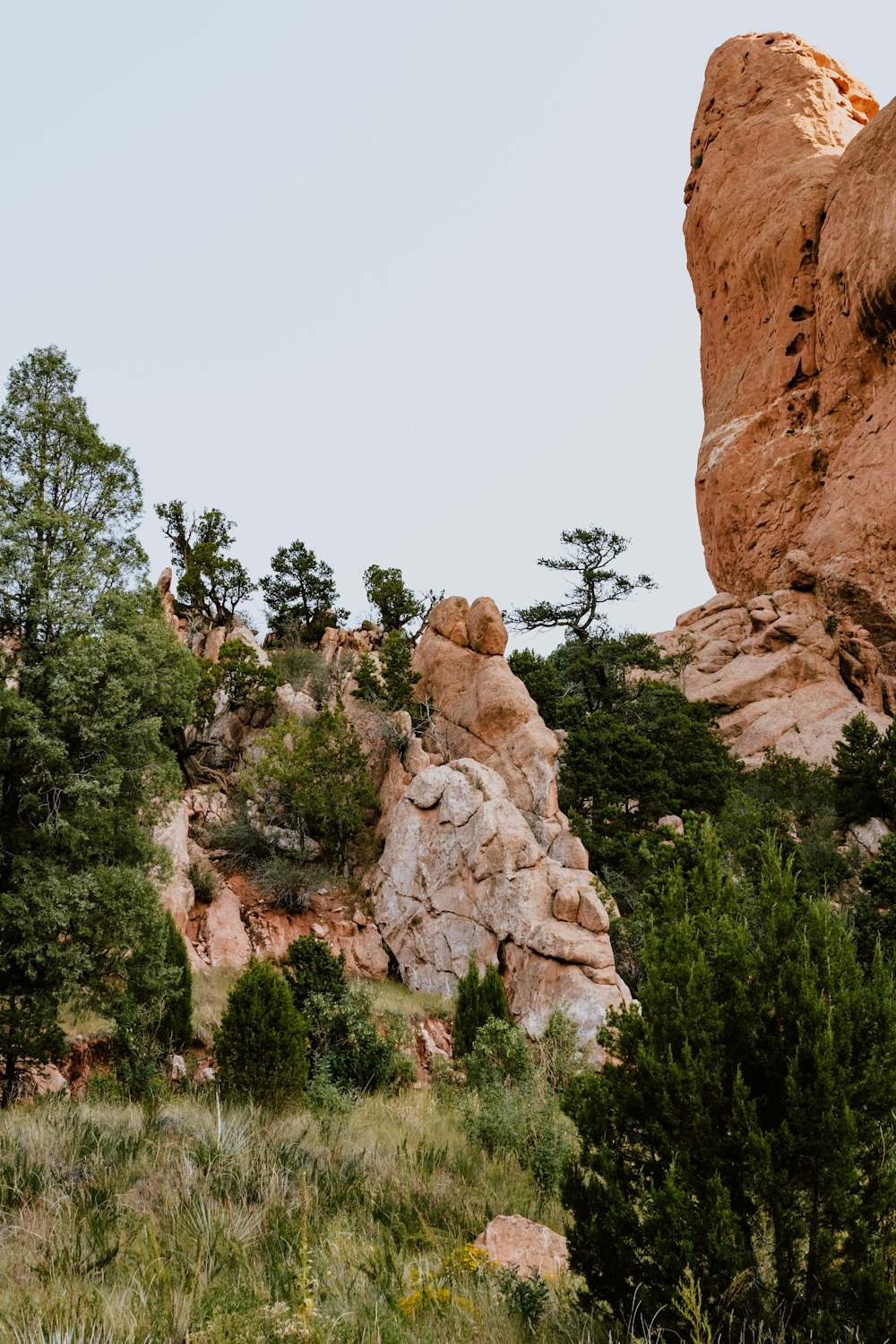 brown rock formation near green trees during daytime