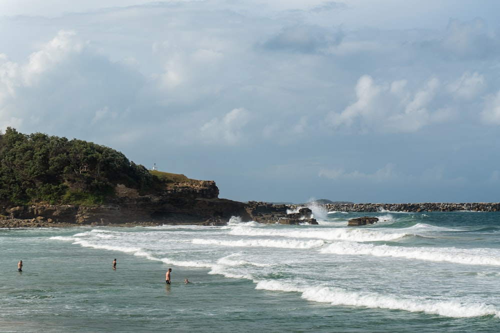 people on beach during daytime