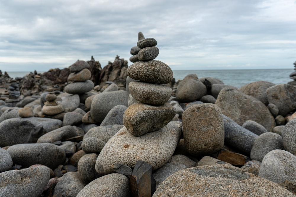 gray and brown stones near body of water during daytime