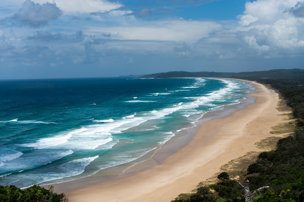 aerial view of beach during daytime