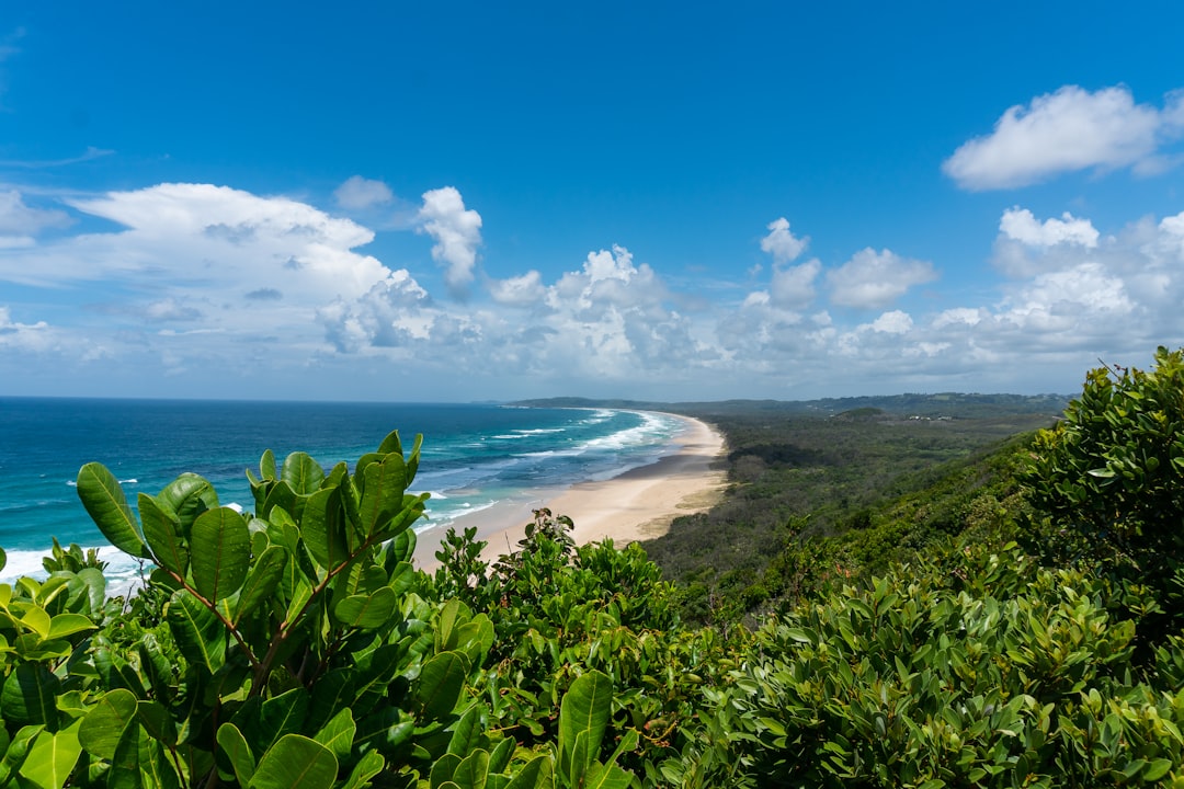 green trees near sea under blue sky during daytime