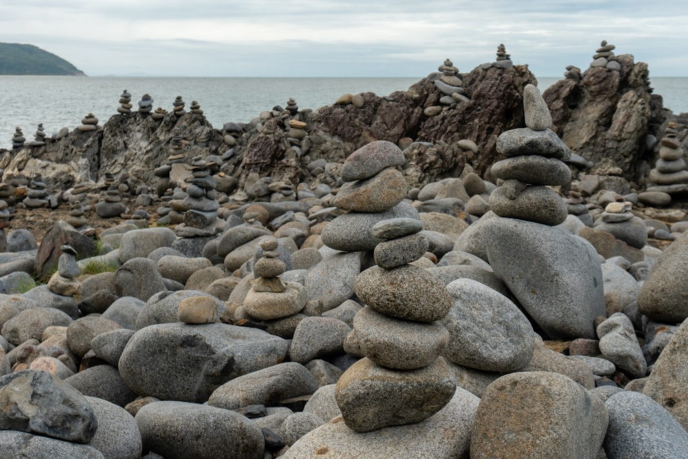 brown and gray rocks on seashore during daytime