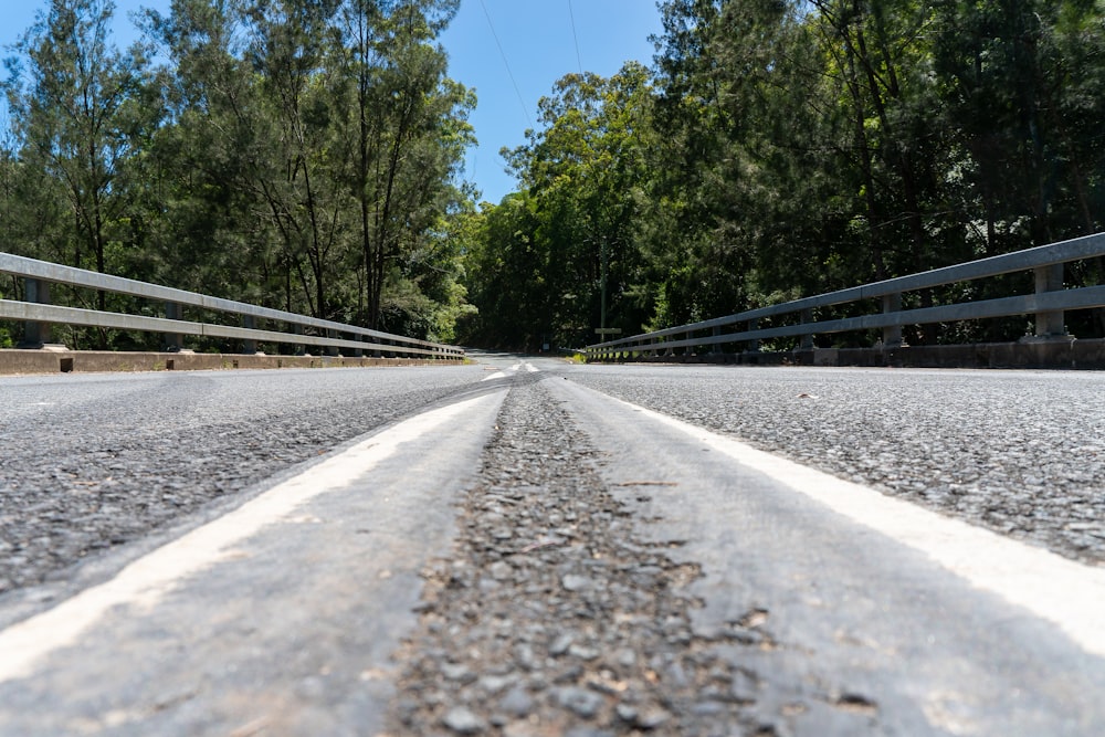 gray concrete road between green trees during daytime