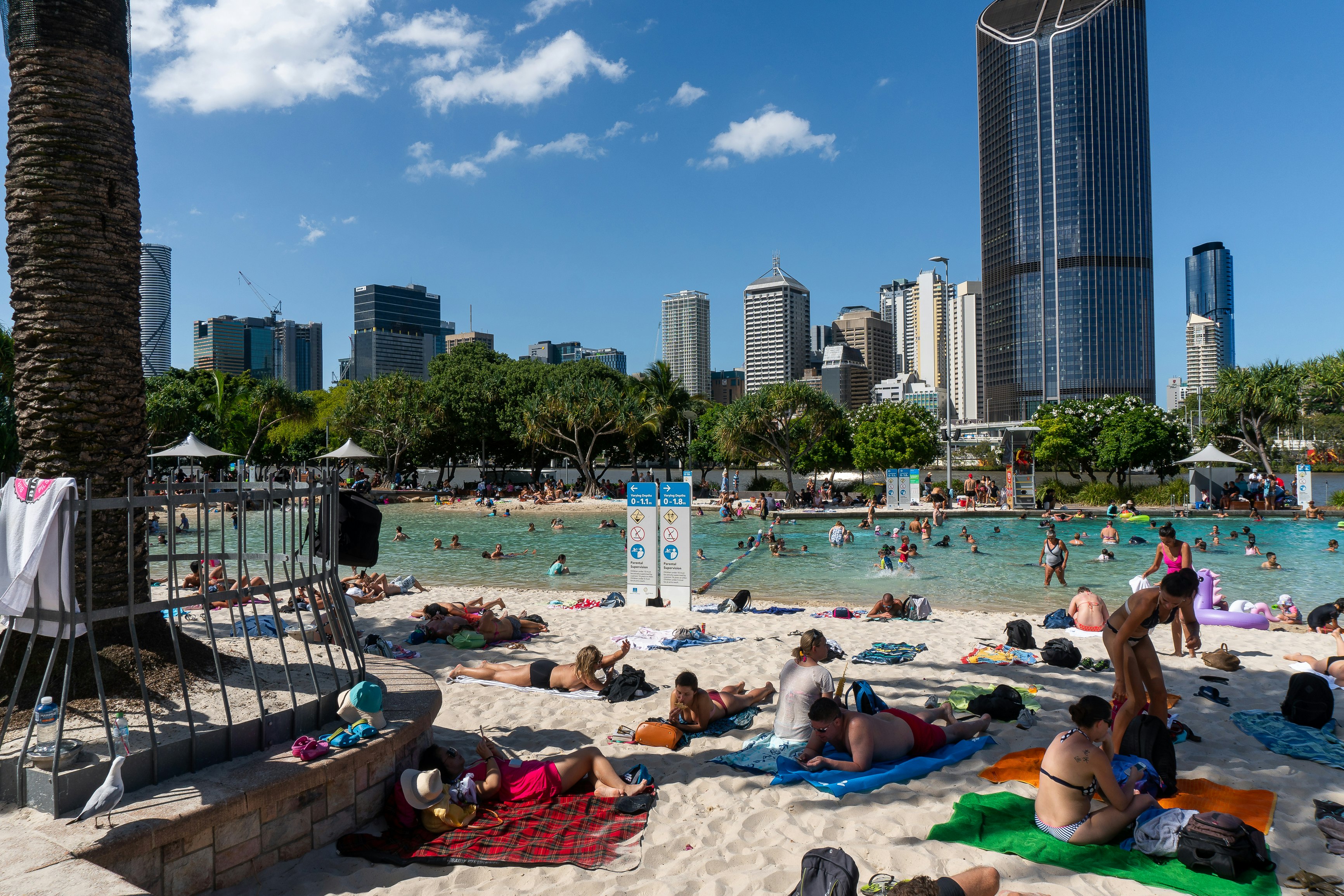 people on beach during daytime