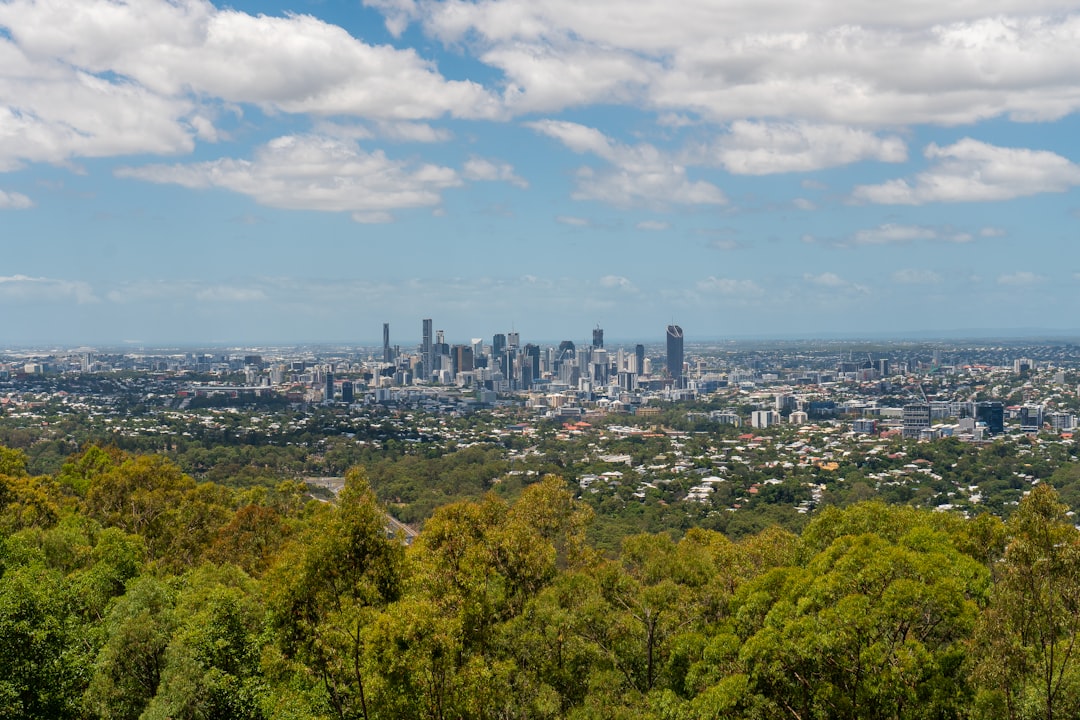 green trees and city buildings under blue sky and white clouds during daytime