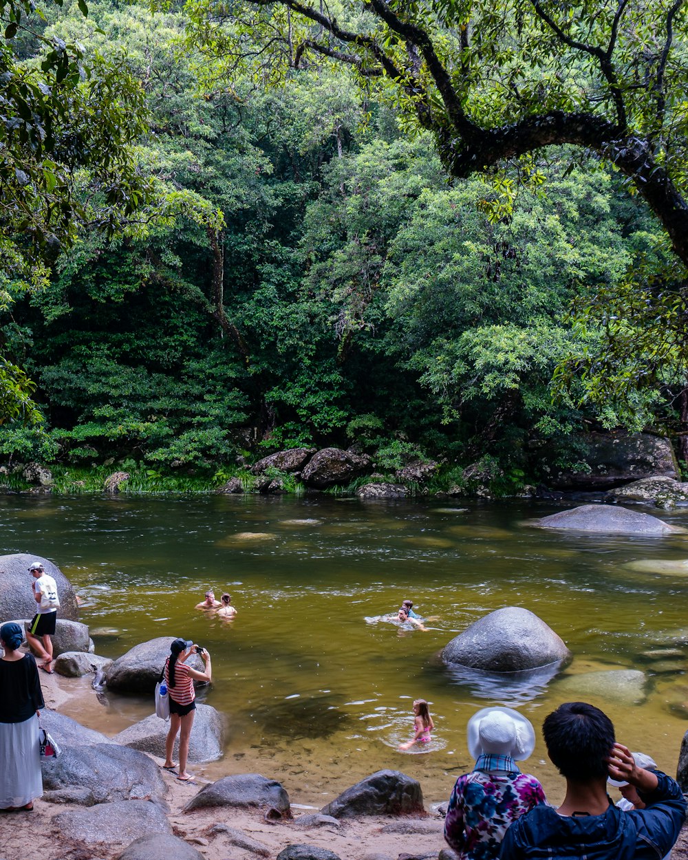 people in water in the forest during daytime